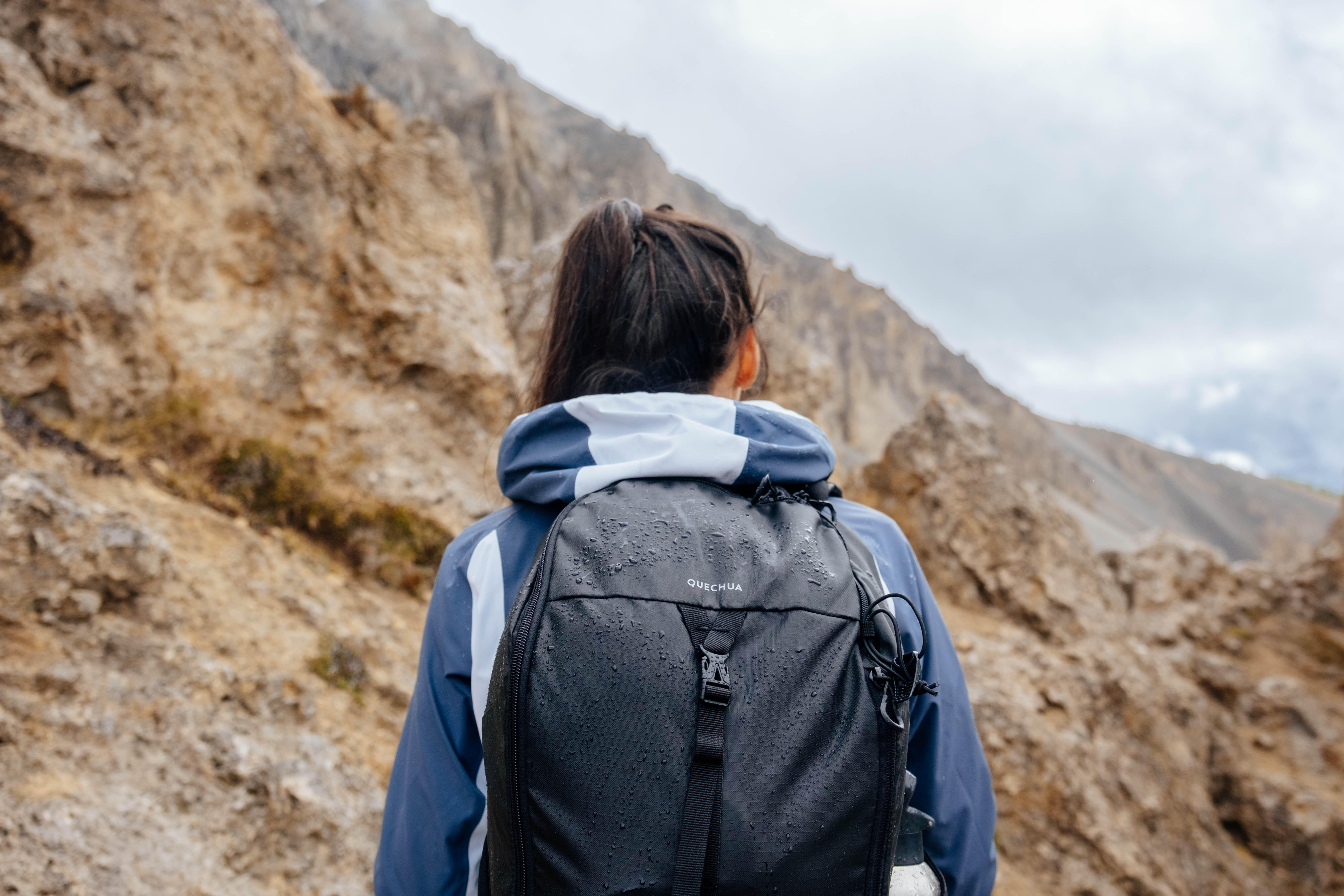 Hiking Backpack 20 L - MH 100 Black - QUECHUA