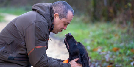 Chien de chasse