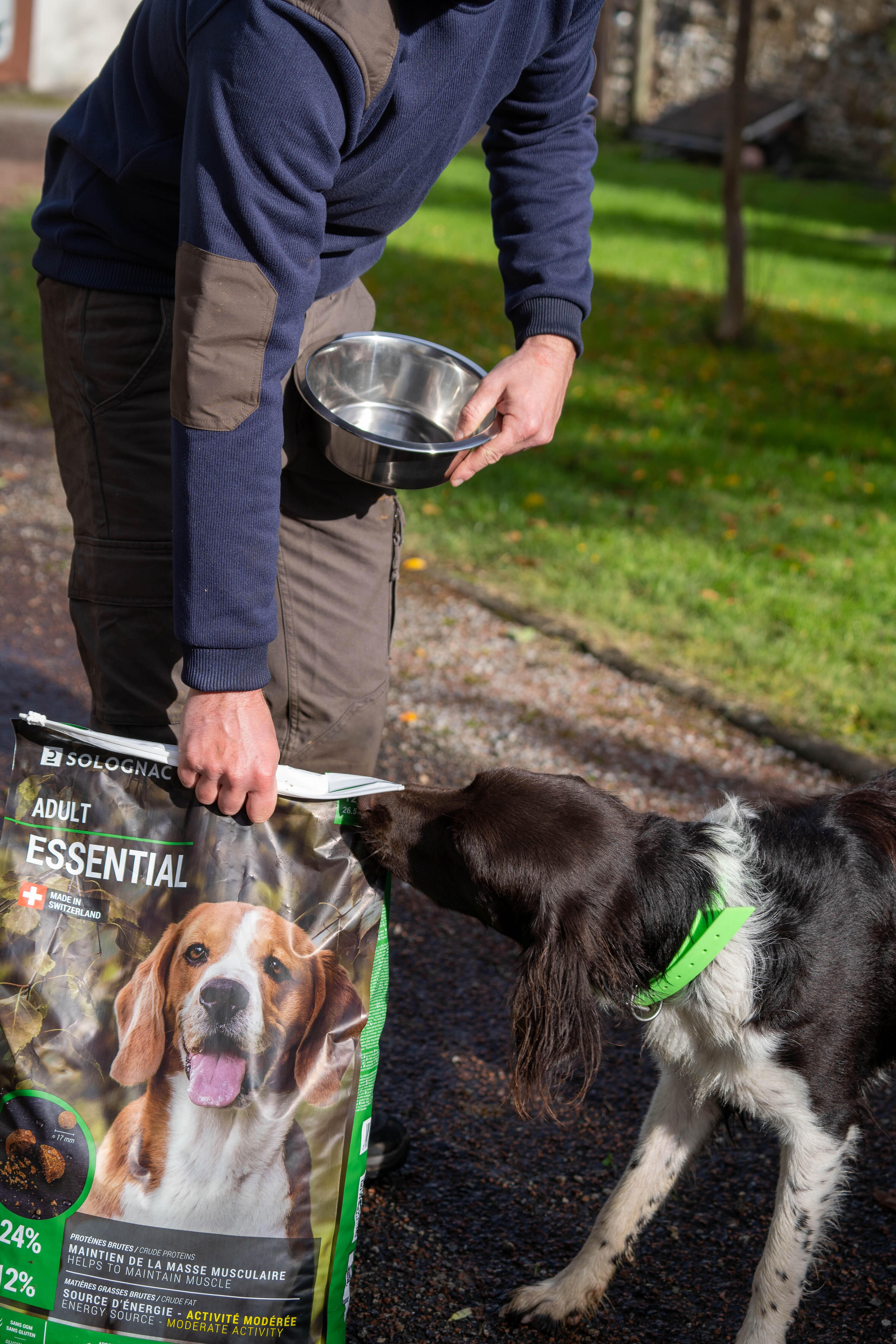 Crocchette cane ADULT ESSENTIAL 12 kg 10/16