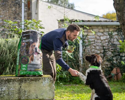 Alimentation du chien 