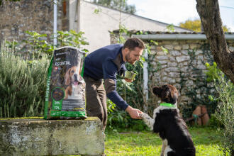 Alimentation du chien 