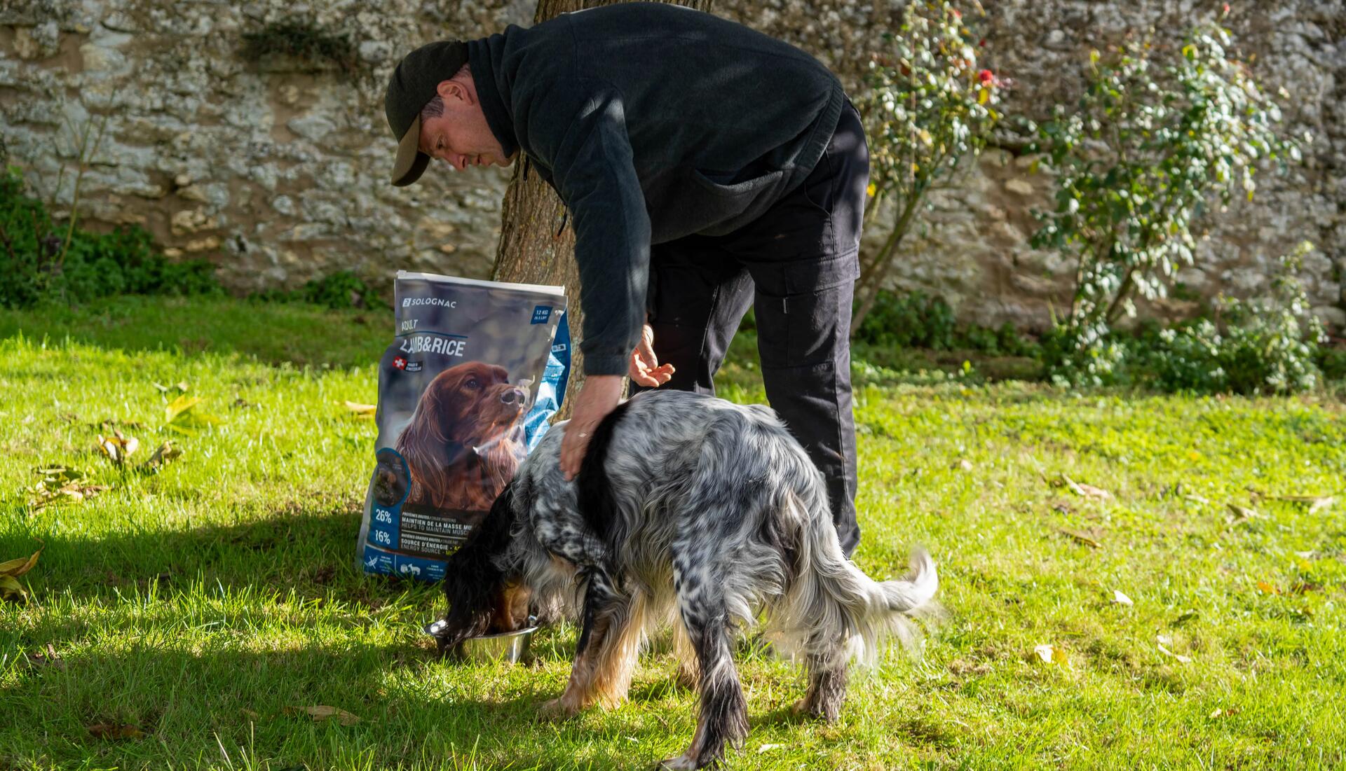 Savoir si la transition alimentaire de croquettes pour un chien se passe bien
