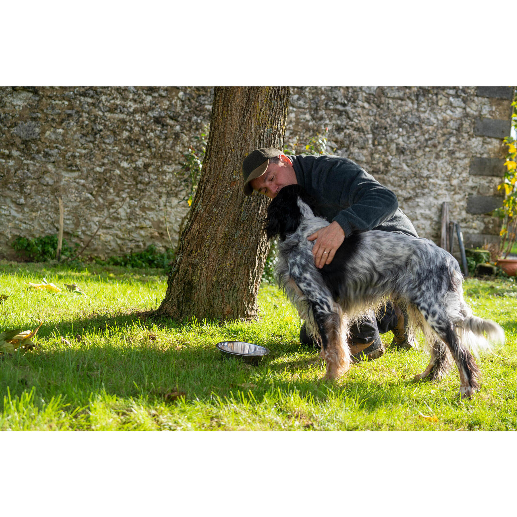 Les entra nements de printemps du jeune chien de chasse