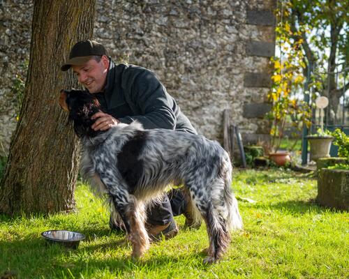 alimentation chien de chasse