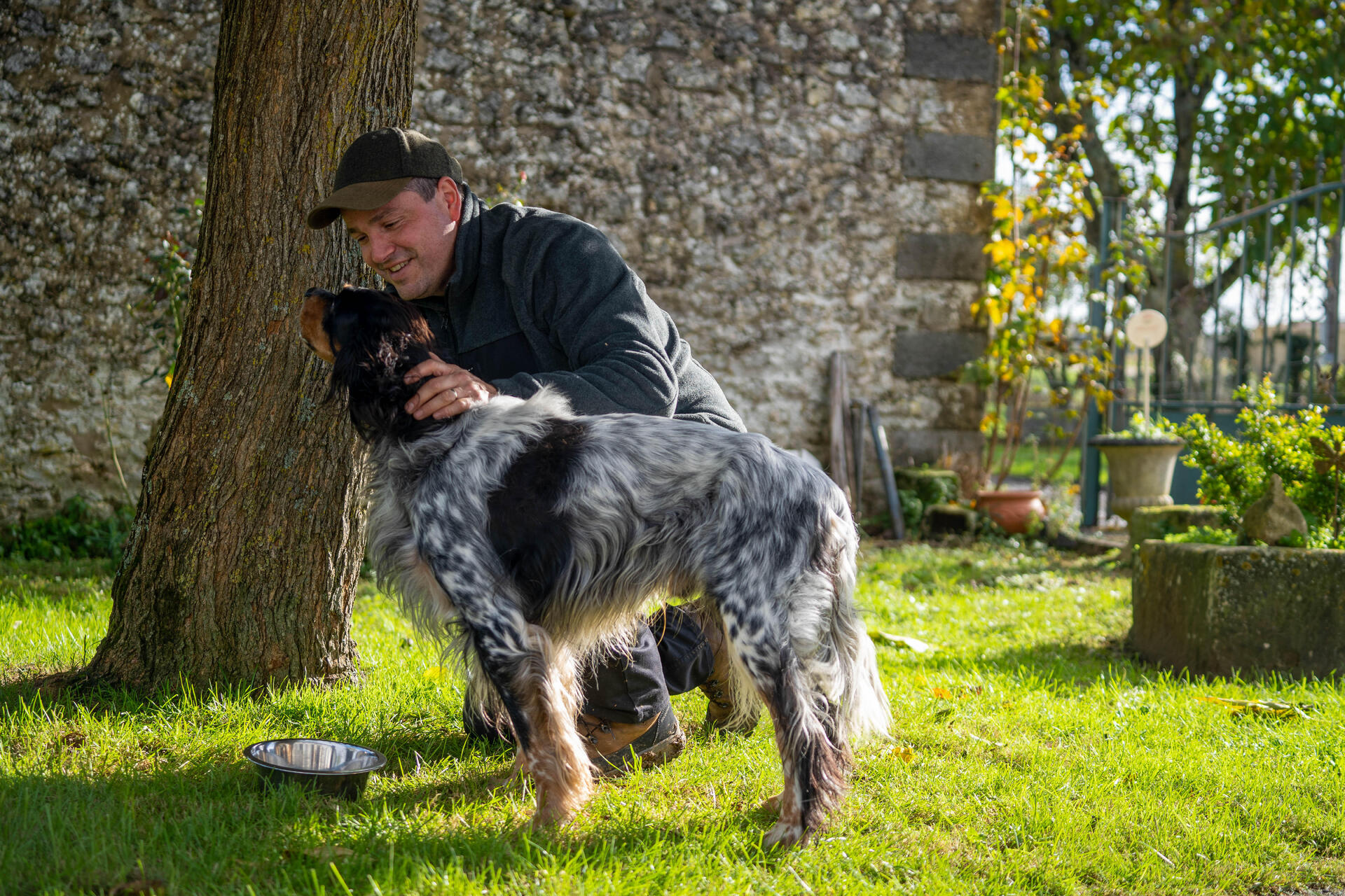 alimentation chien de chasse