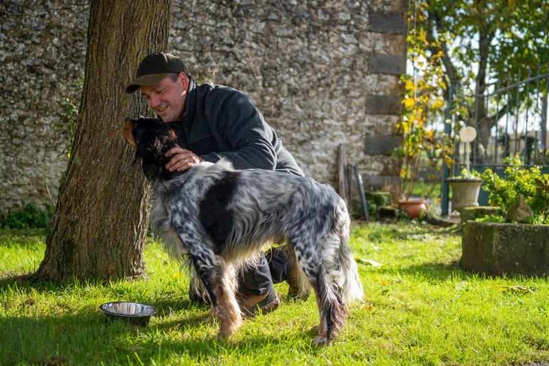 Come scegliere l'alimentazione del cane da caccia