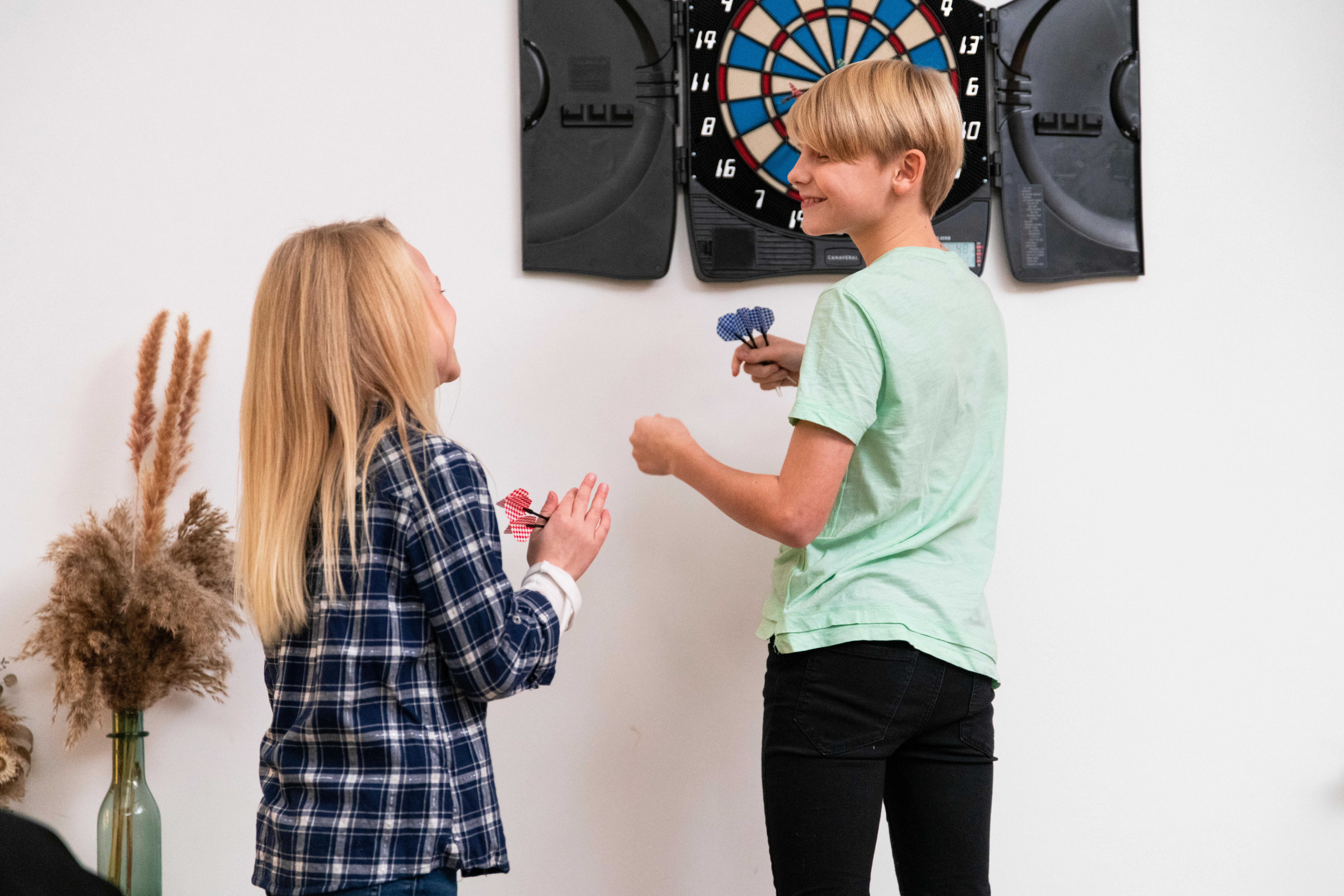 ED310 electronic dartboard