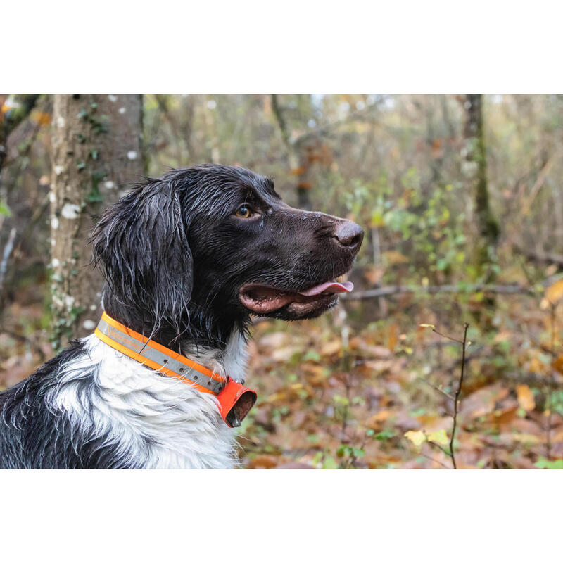 CHOCALHO PARA CÃO DE CAÇA LARANJA