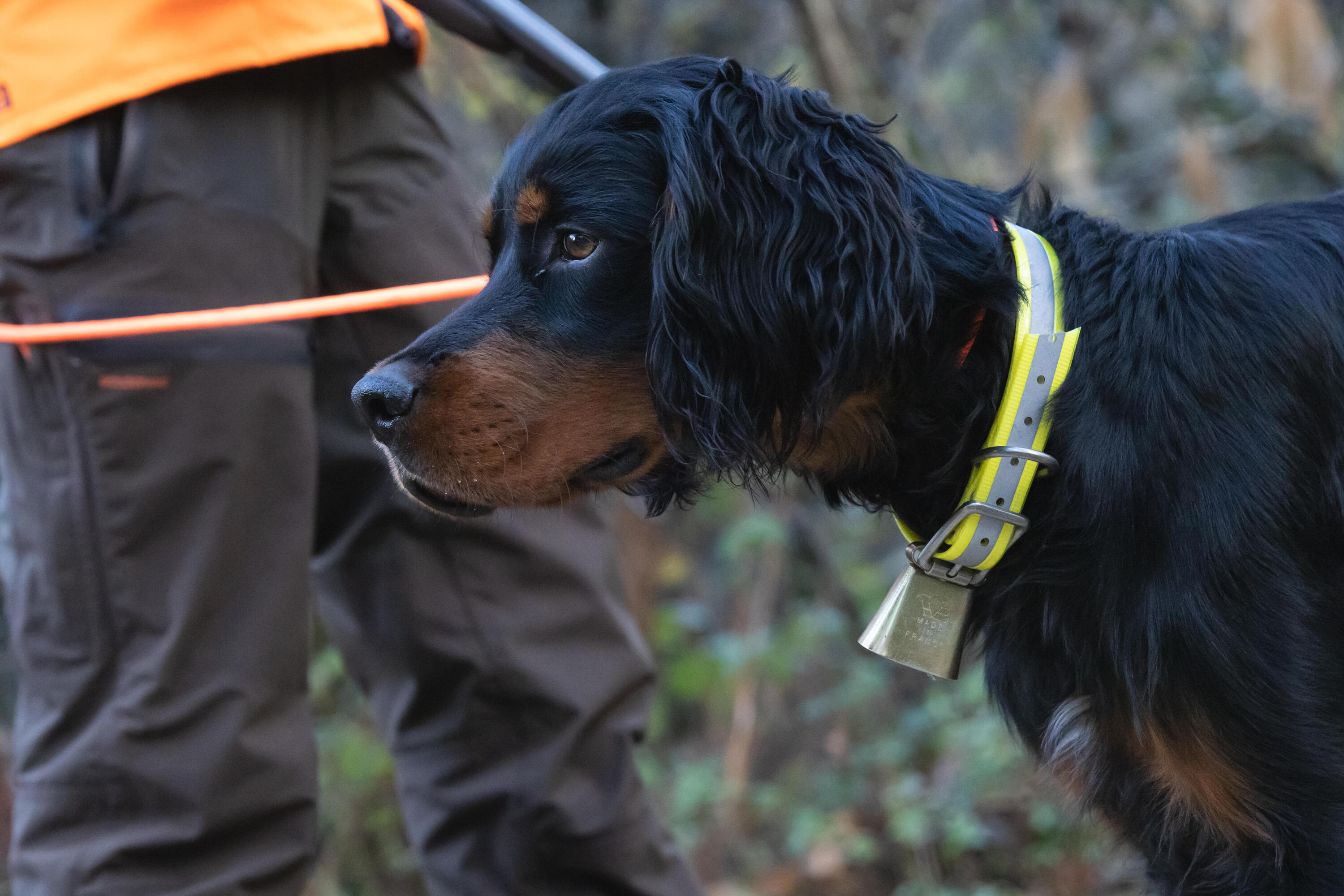 Coleira Refletora para Cão de Caça 520 Laranja 11/11