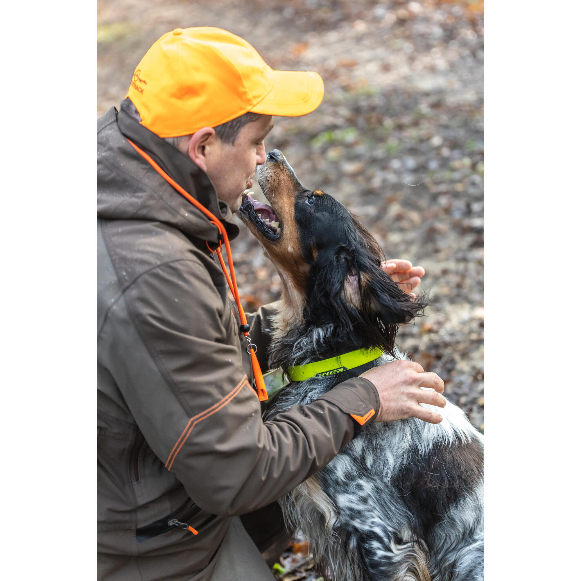 Collare giallo per cani 900