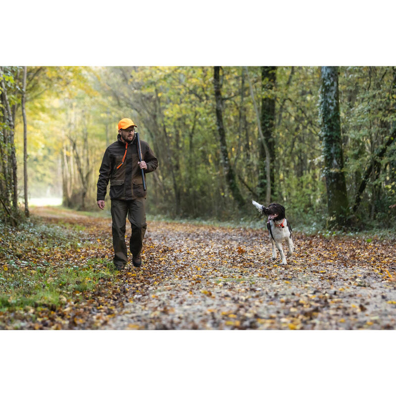 Collar Perro Solognac 500 Naranja Banda Reflectante Ajustable