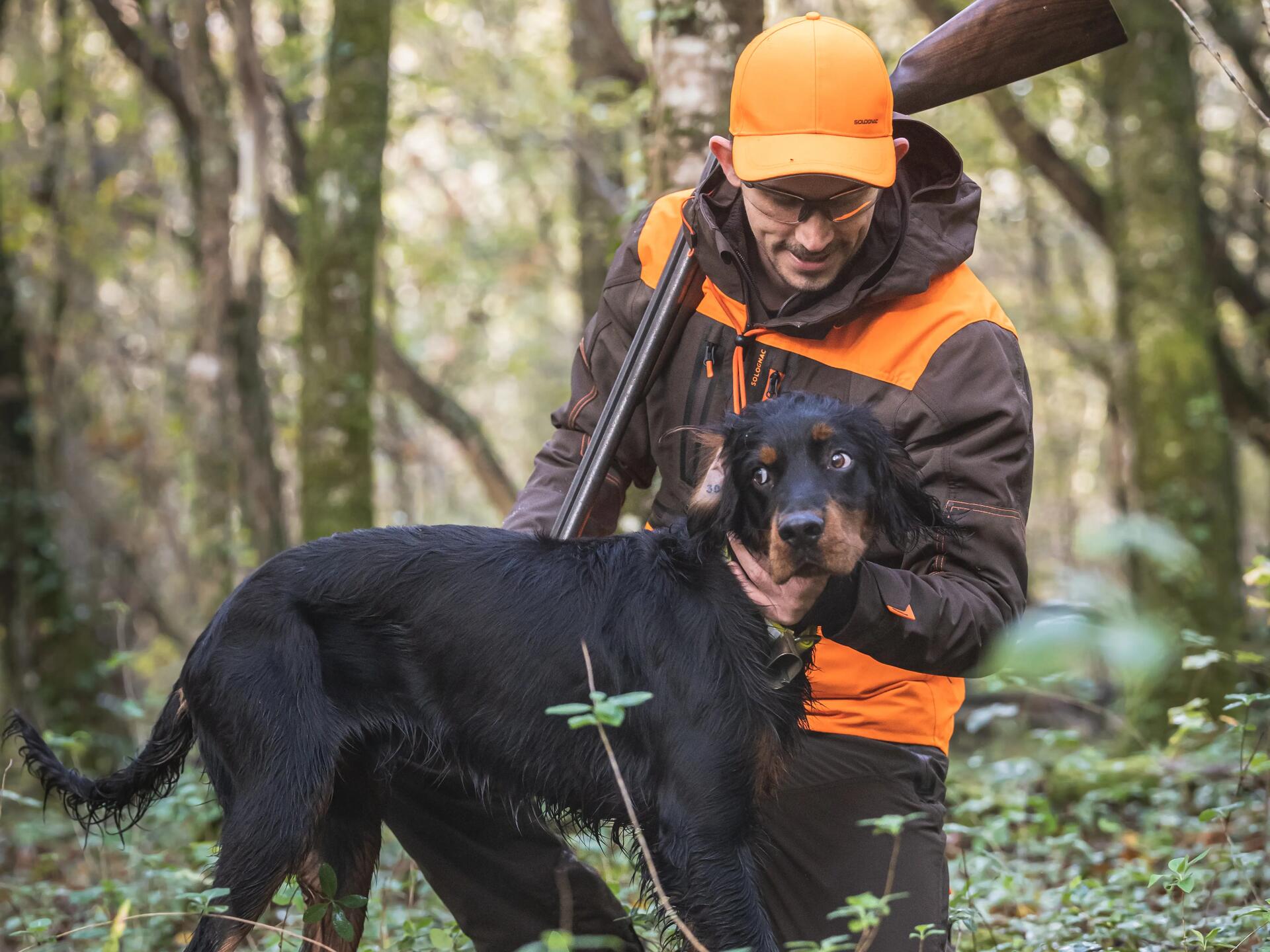 Chasser la becasse avec son chien