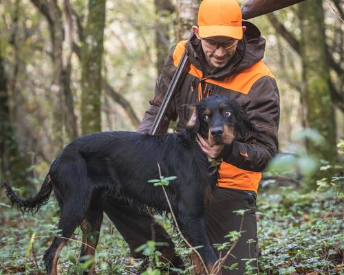 Chasser la becasse avec son chien