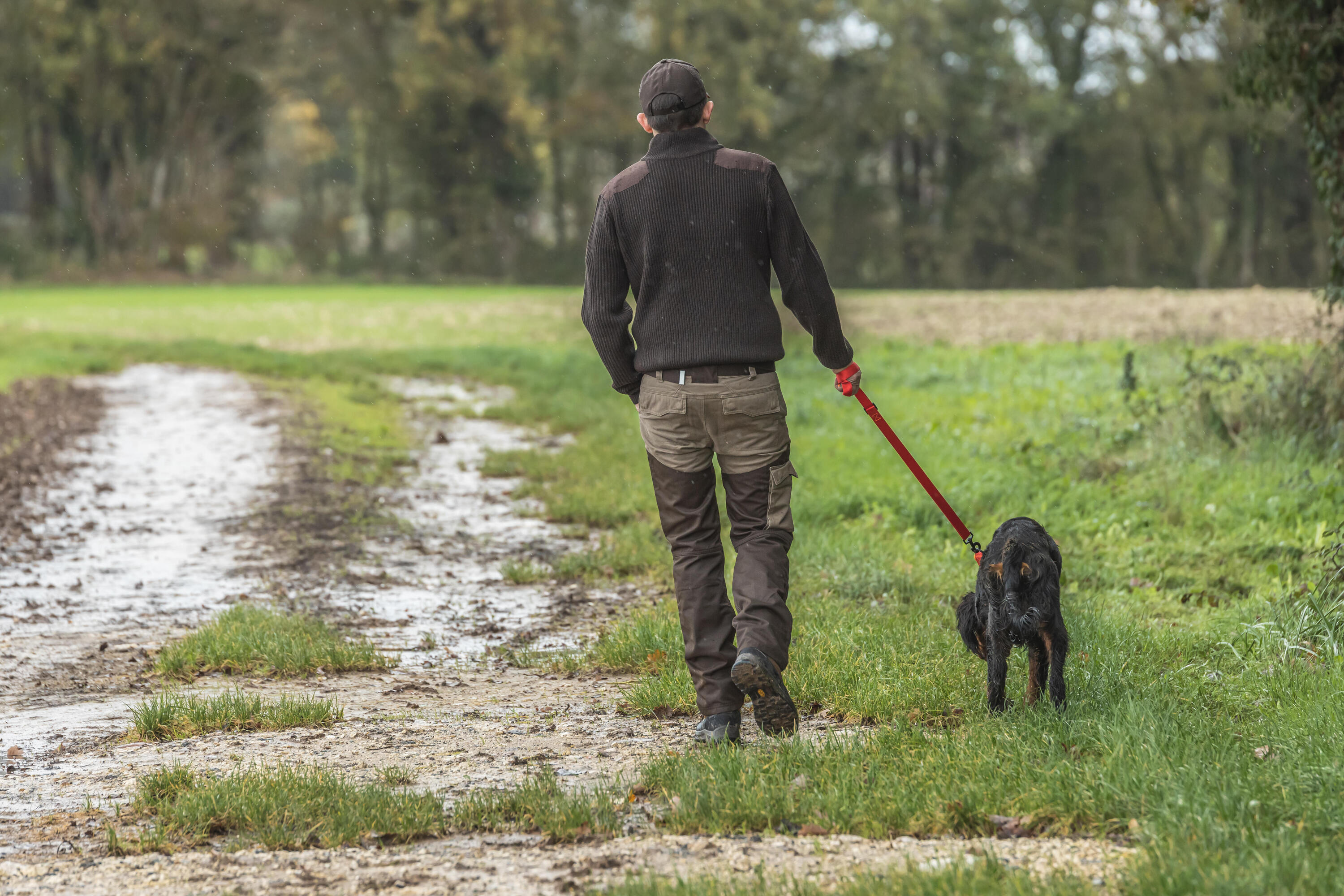 Laisse chien rouge 100 10/12