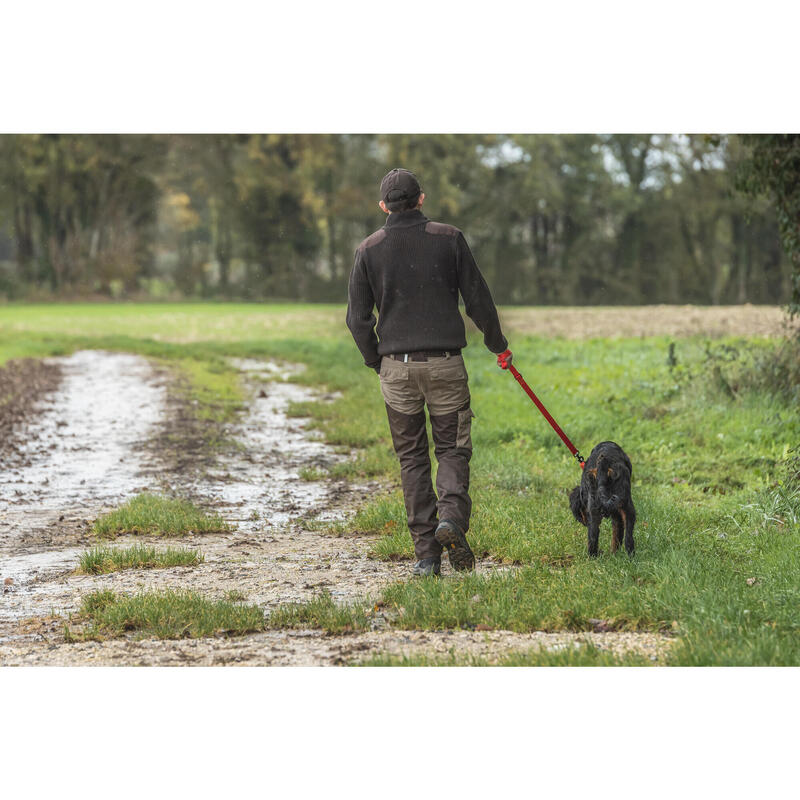 Laisse chien rouge 100