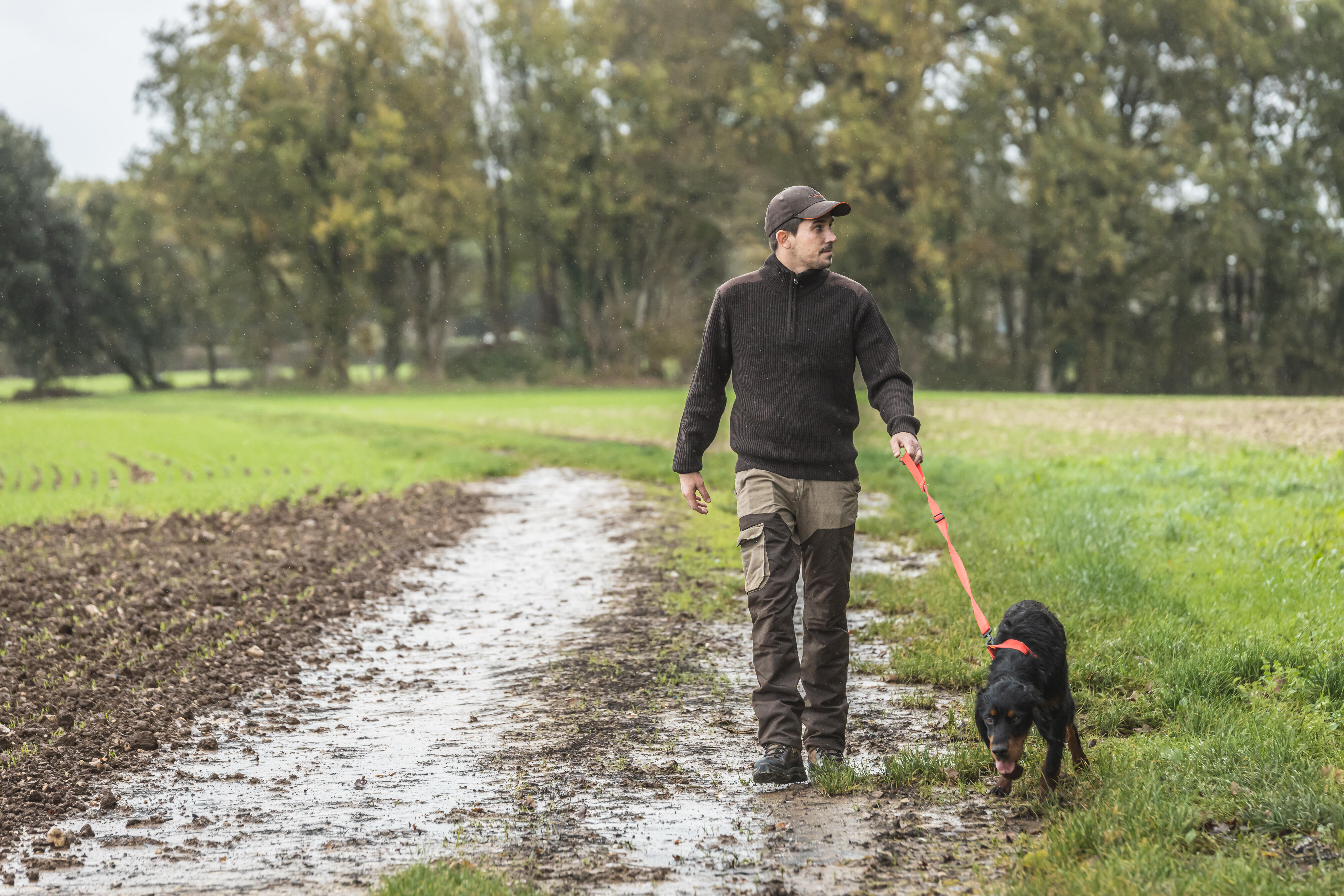 Laisse chien 100 vert - SOLOGNAC