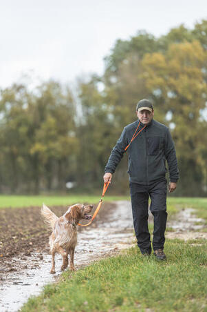 Laisse chien orange 100