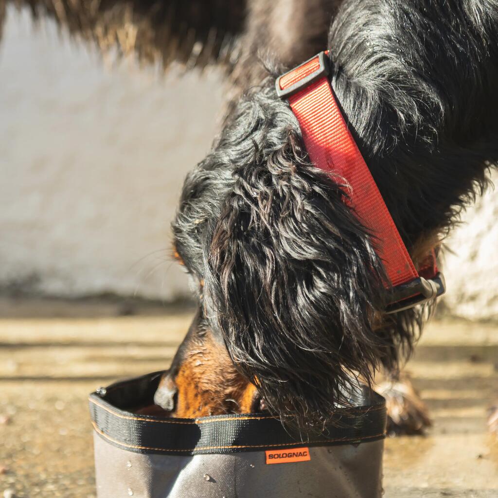 Hundehalsband orange100