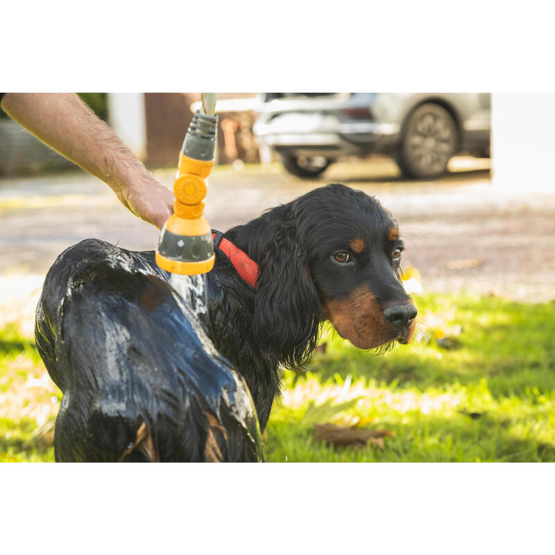 Coleira para Cão 100 Cinzento