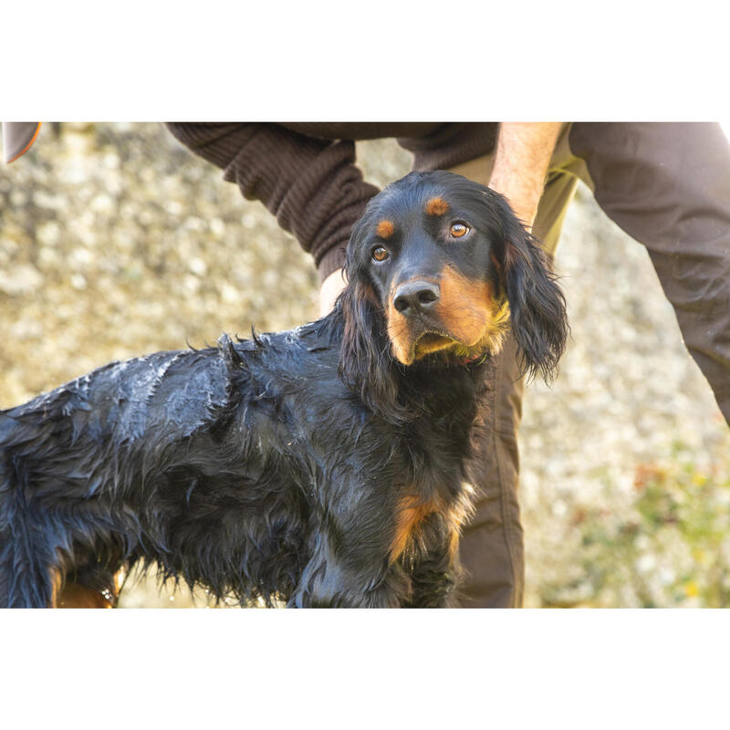 Shampoo Insektenschutz für Hunde 250 ml