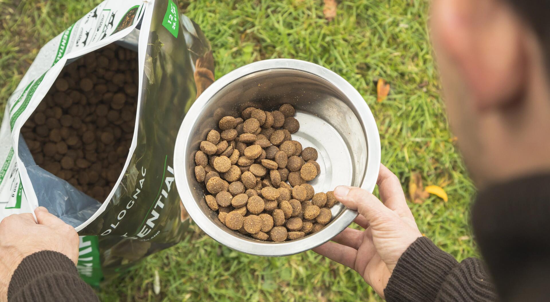 Quand et pourquoi changer l'alimentation de son chien ?