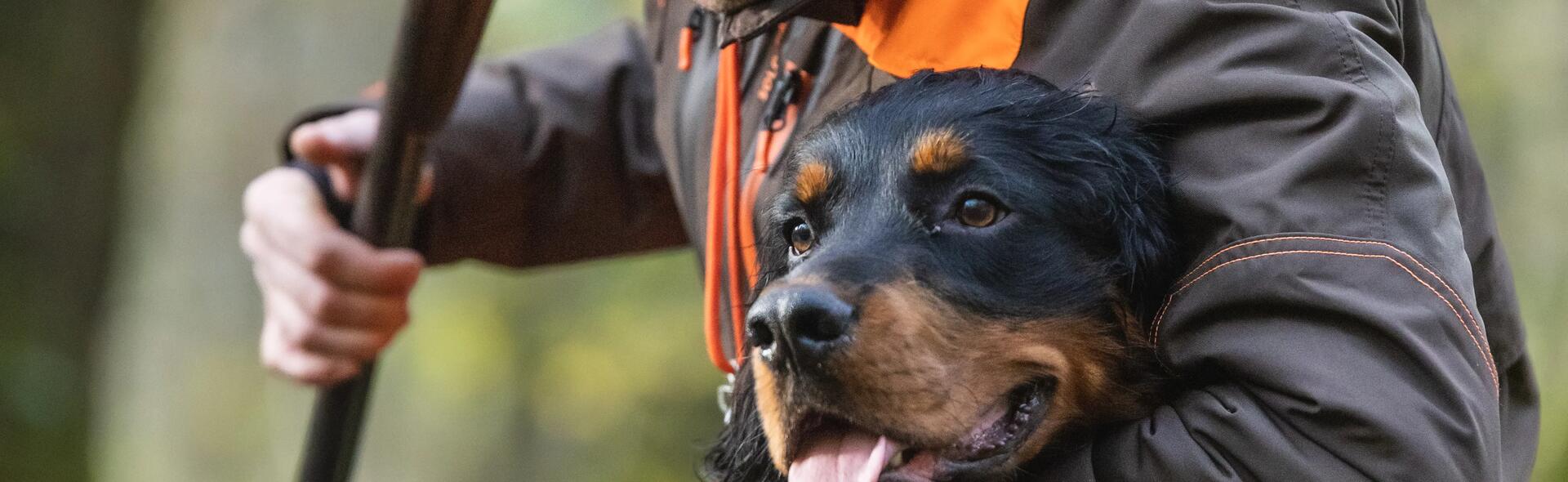 Wartung Reparatur Jagd und Sportschießen 