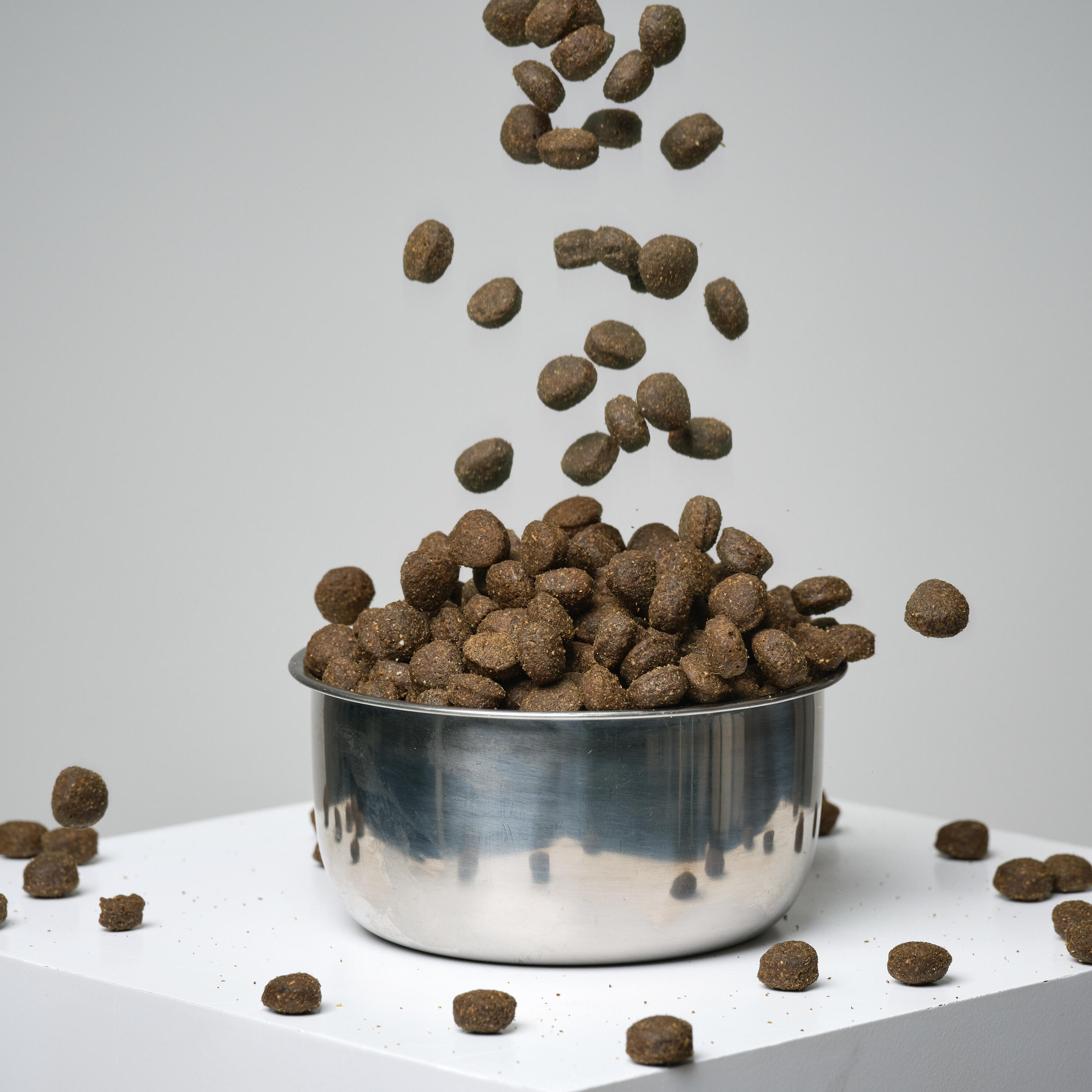 Pienso Perro Solognac Alimentacion Croquetas Adult Cordero-Arroz  12 kg 5/11