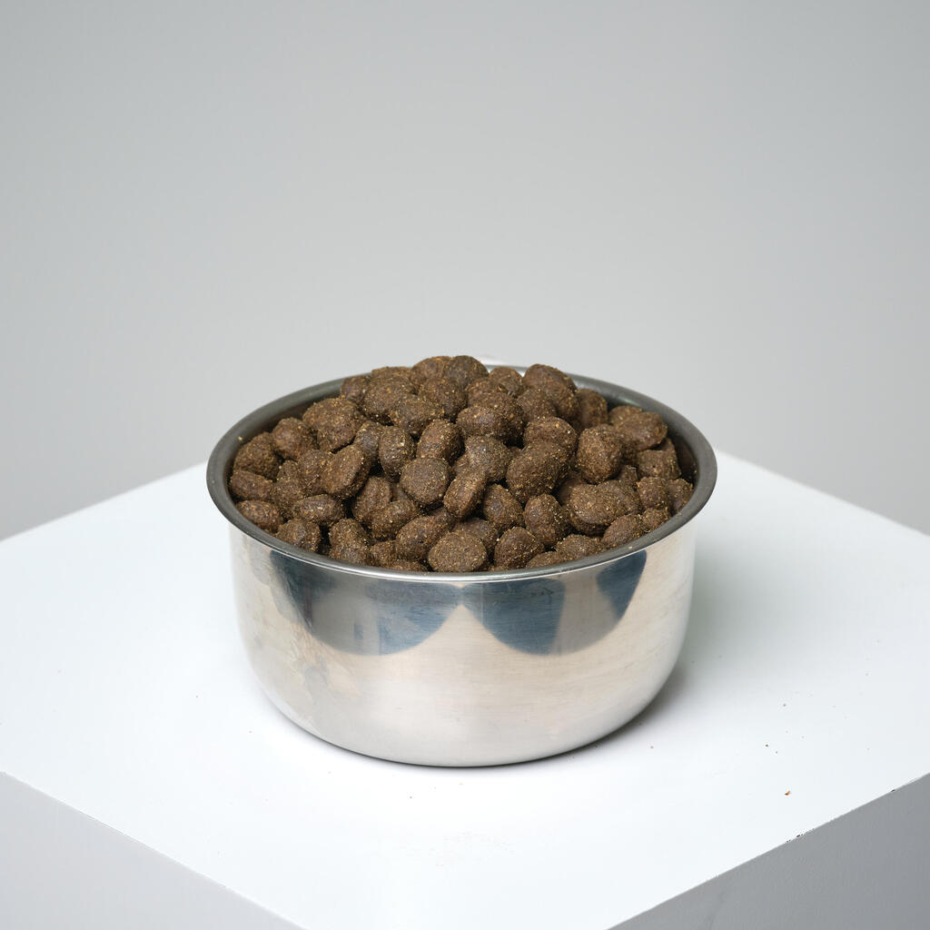 Granuly pre psa Adult jahňacina-ryža 12 kg