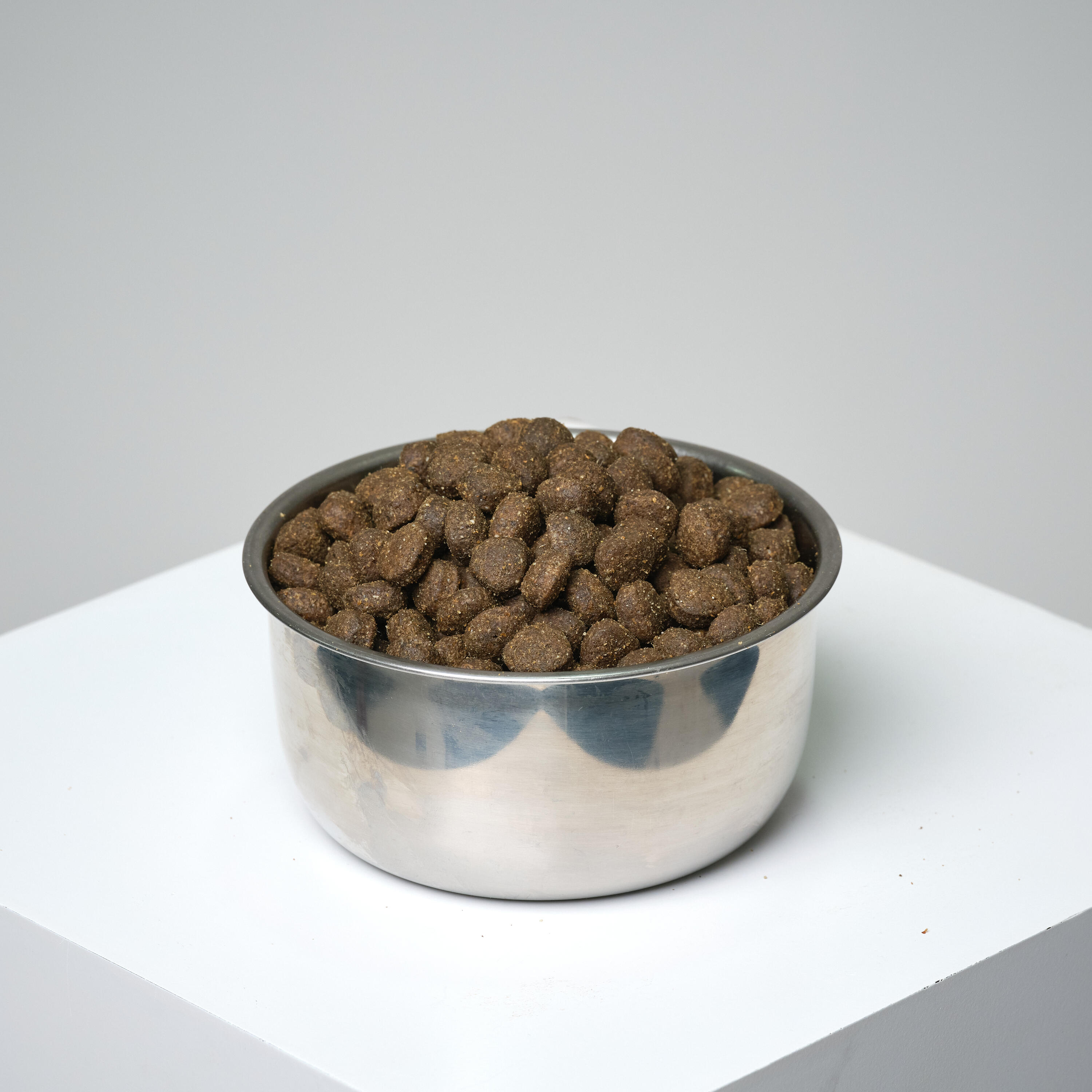 Pienso Perro Solognac Alimentacion Croquetas Adult Cordero-Arroz  12 kg 6/11