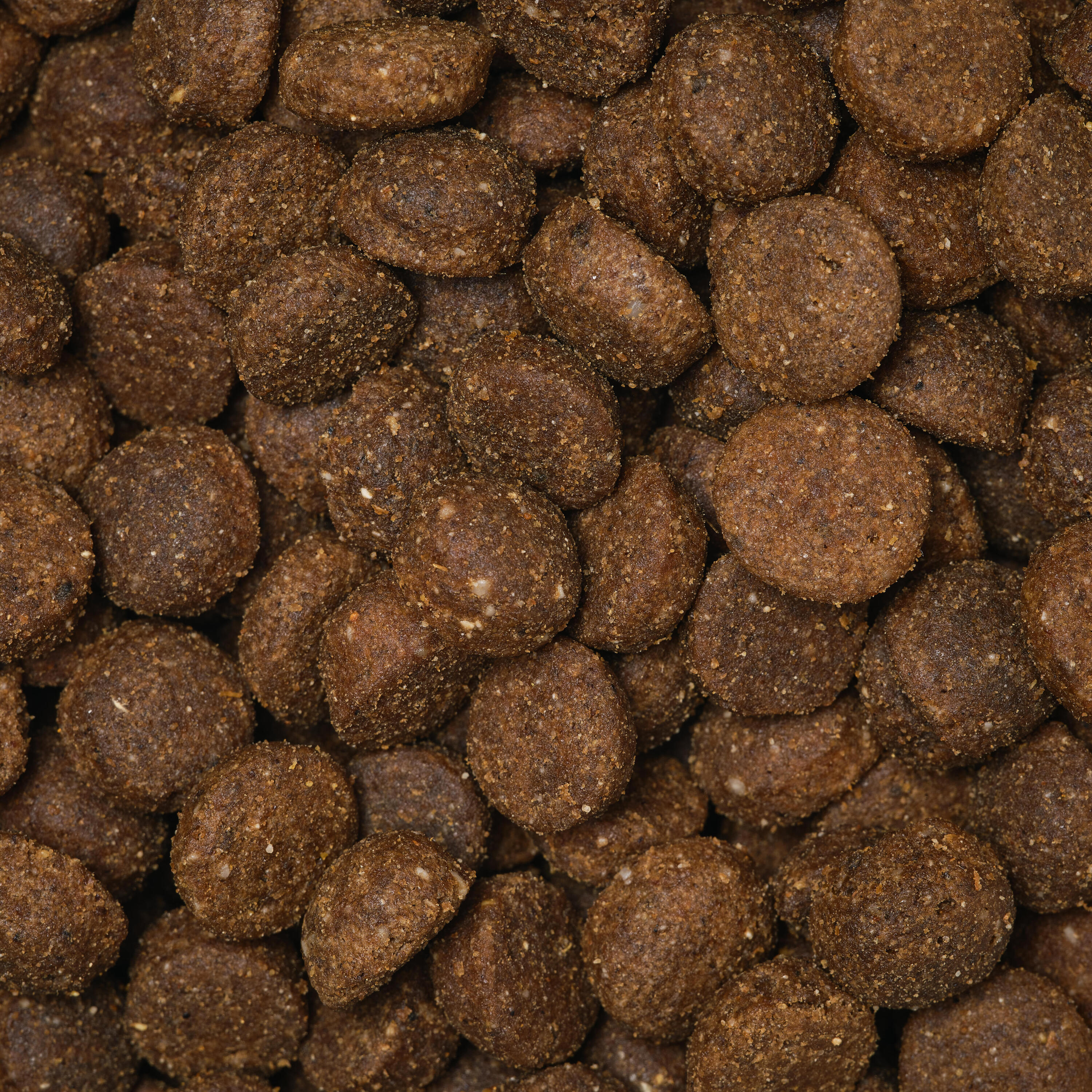 CROQUETTES CHIEN ADULT SPORTIVE 12KG 3/12