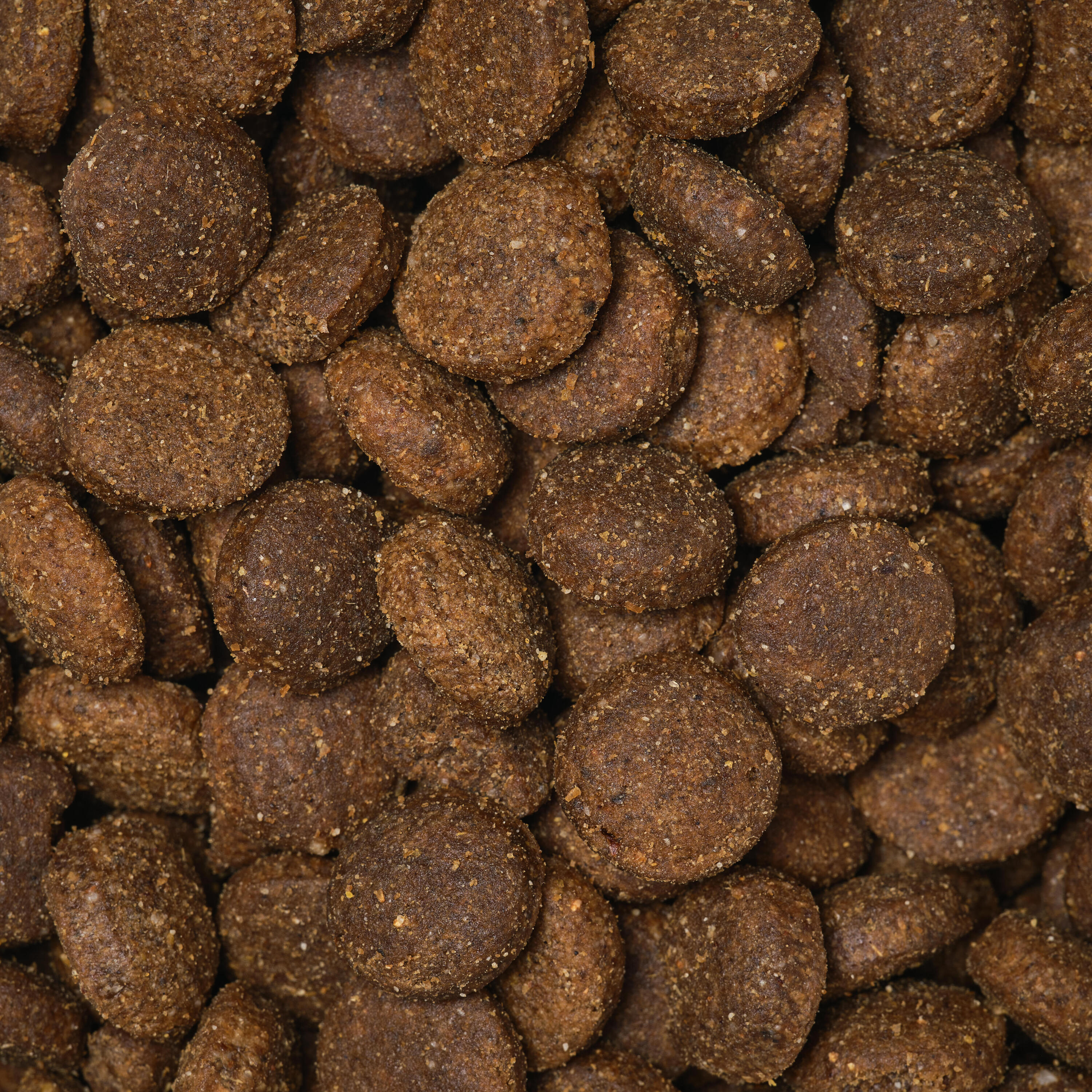 CROQUETES DE CÃO DE CAÇA ADULT ESSENTIAL 12 KG 3/6