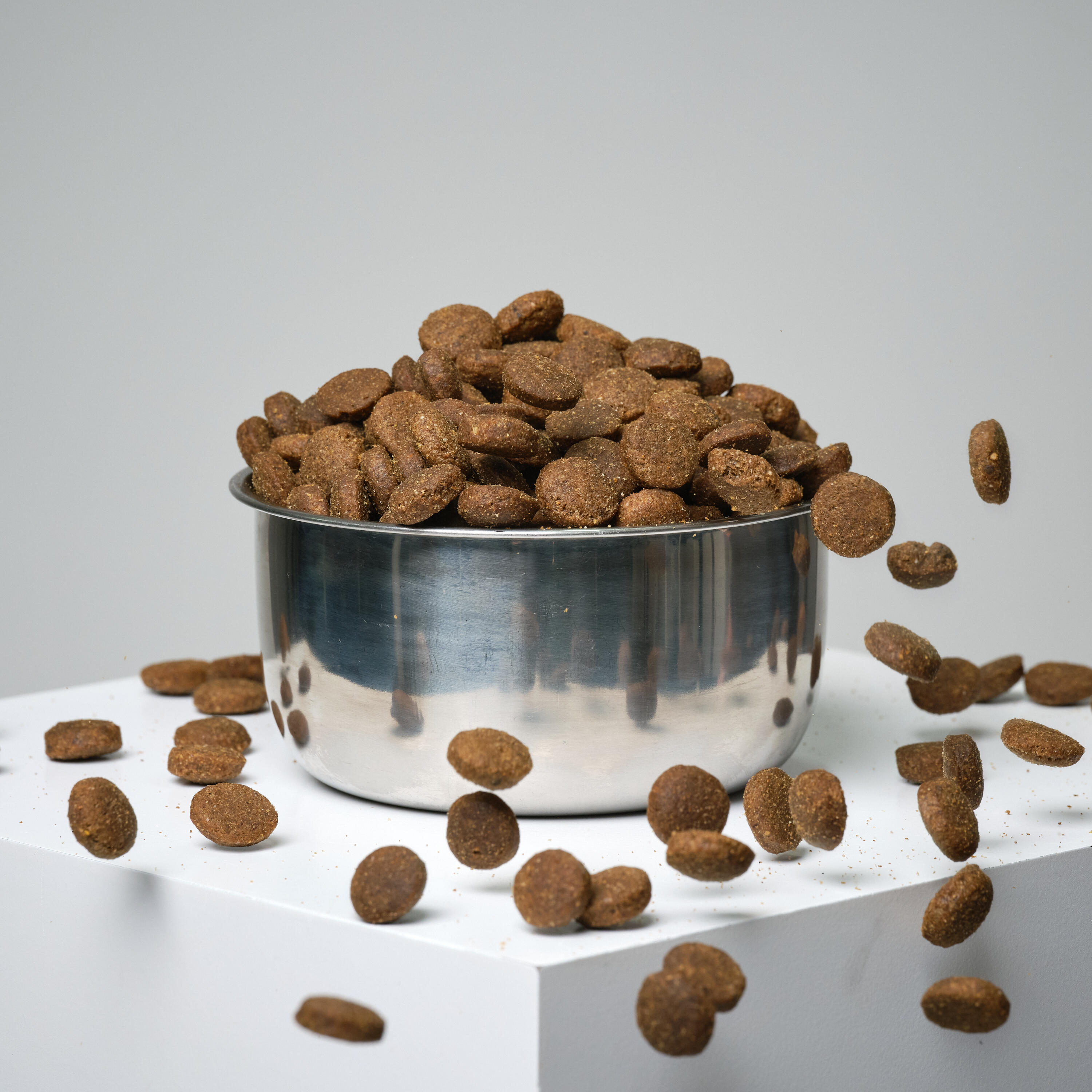Pienso Perro Solognac Alimentacion Croquetas Perro Adult Essential 12 kg 6/6