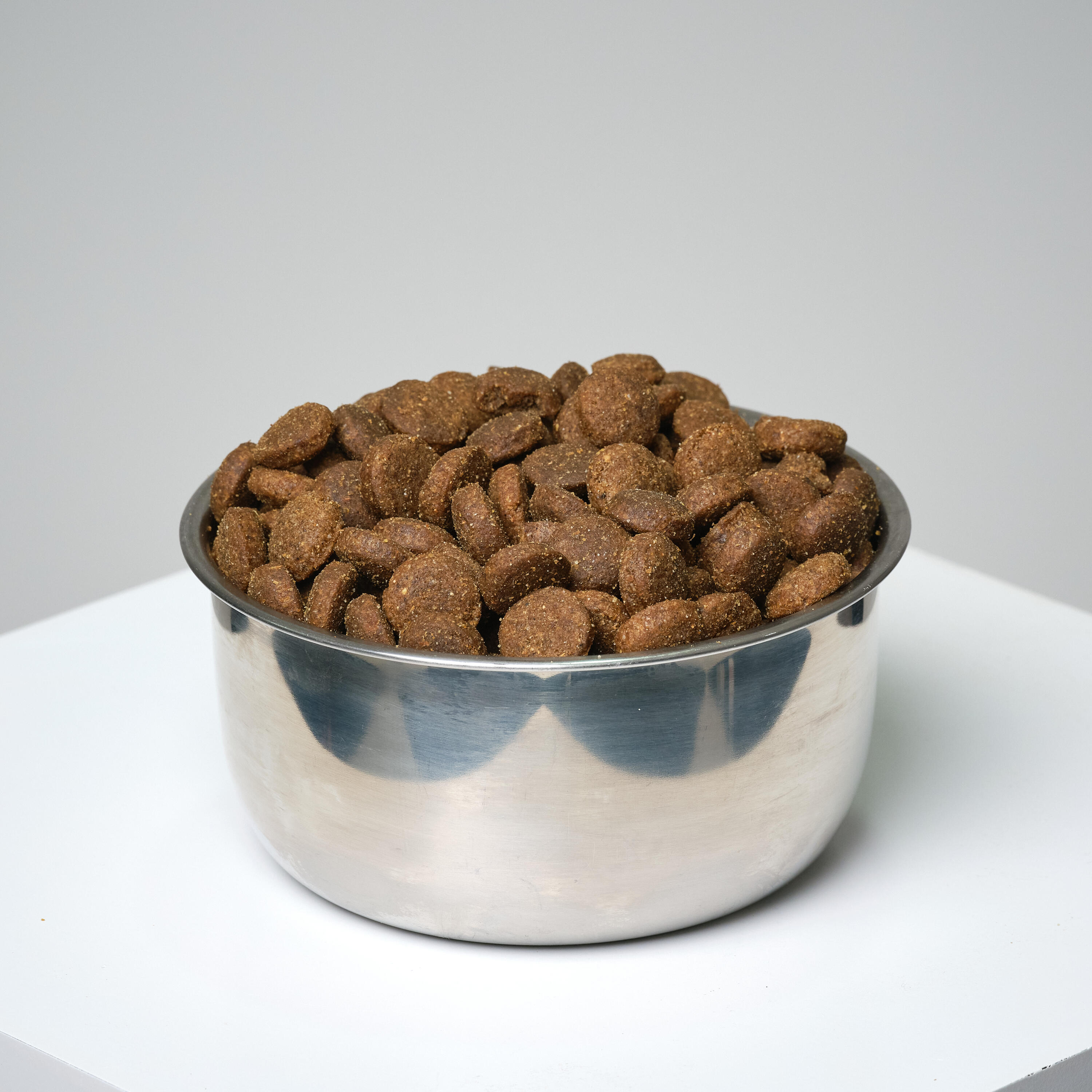 Pienso Perro Solognac Alimentacion Croquetas Perro Adult Essential 12 kg 2/6