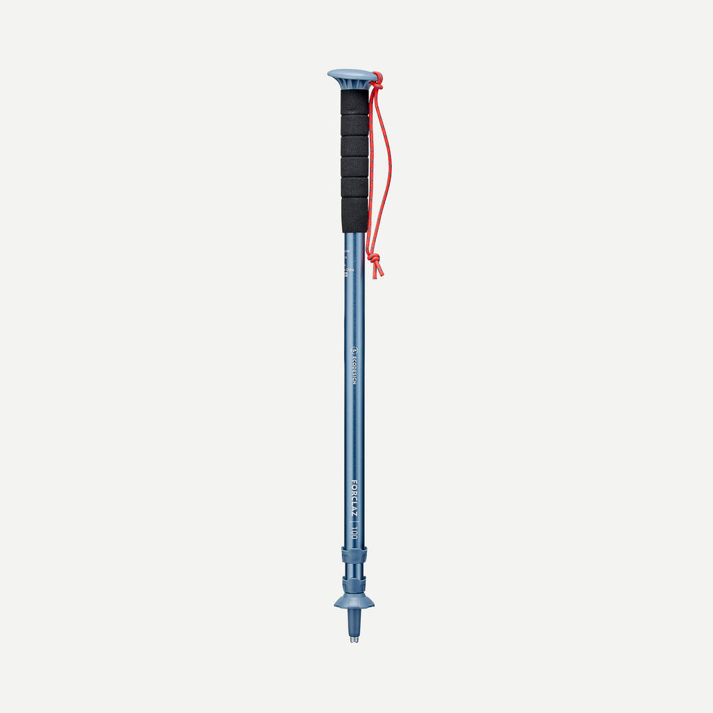 1 affordable hiking pole - MT100 blue