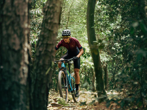 Consejos para elegir tu próxima bicicleta de montaña