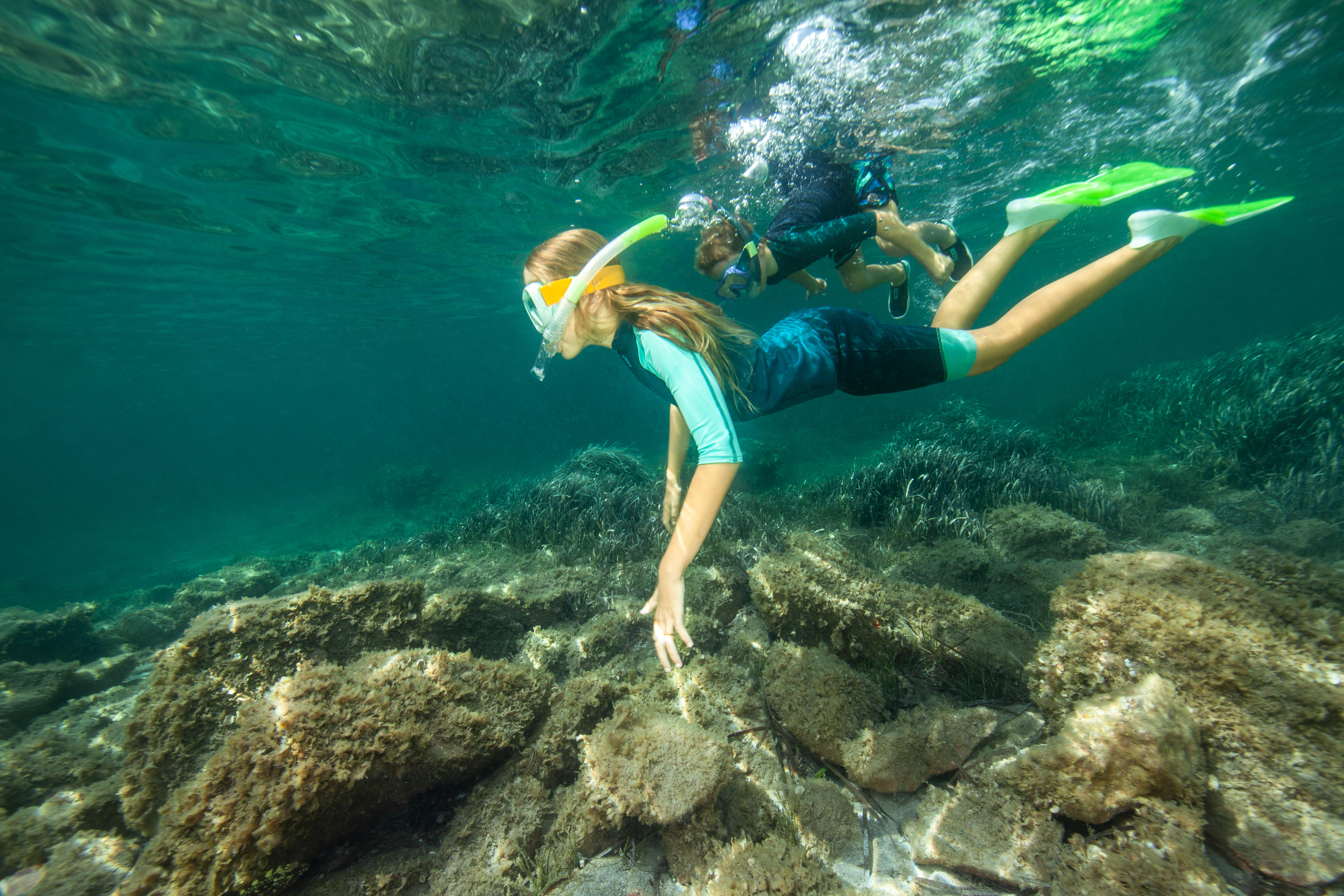 Tuba plongée avec soupape enfant - 100 translucide - DECATHLON