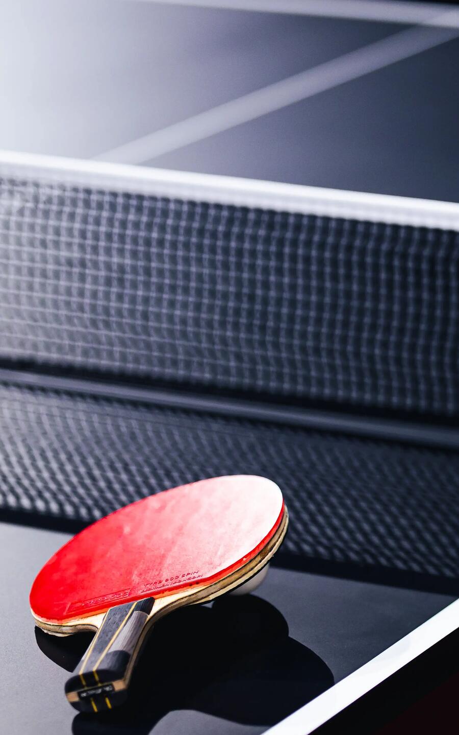 raquette de tennis de table