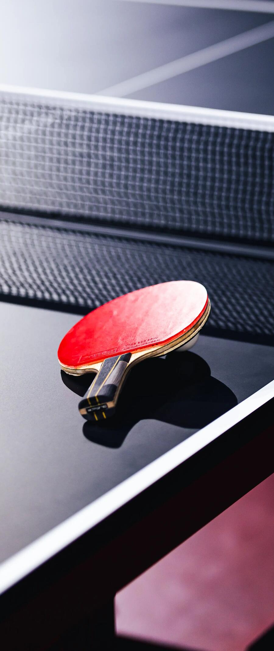 raquette de tennis de table