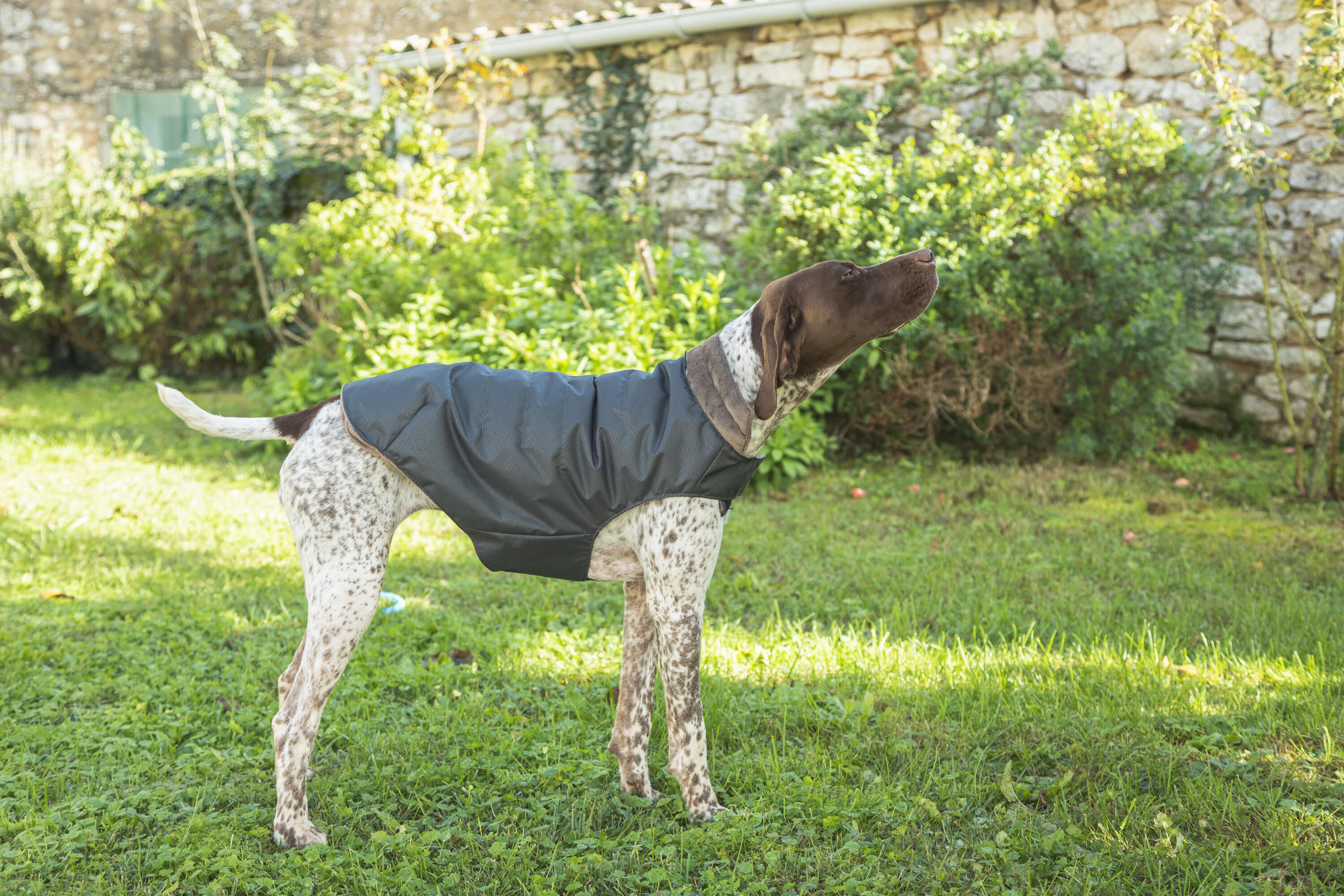 Hundeweste warm grau  11/12