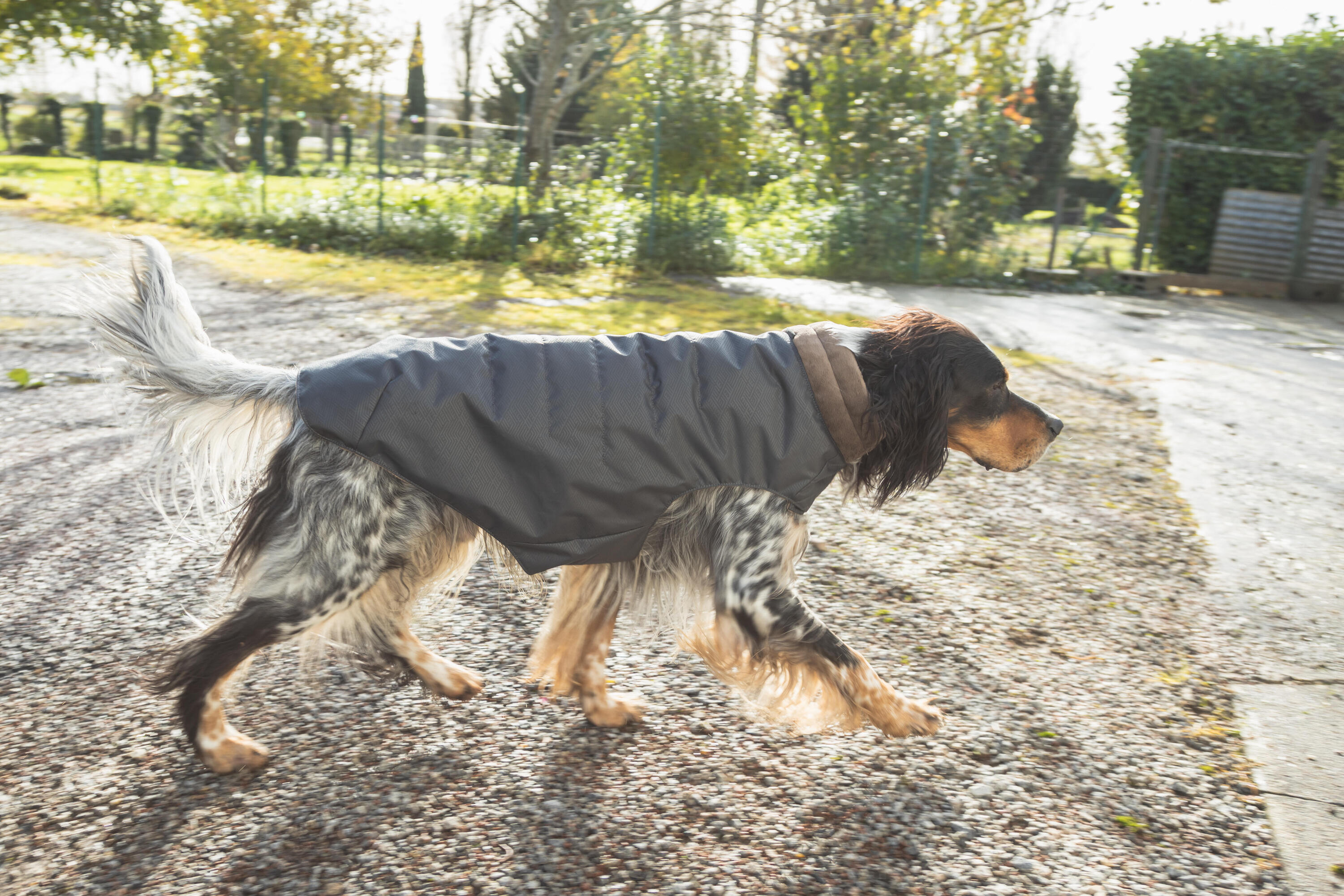 Hundeweste warm grau  9/12