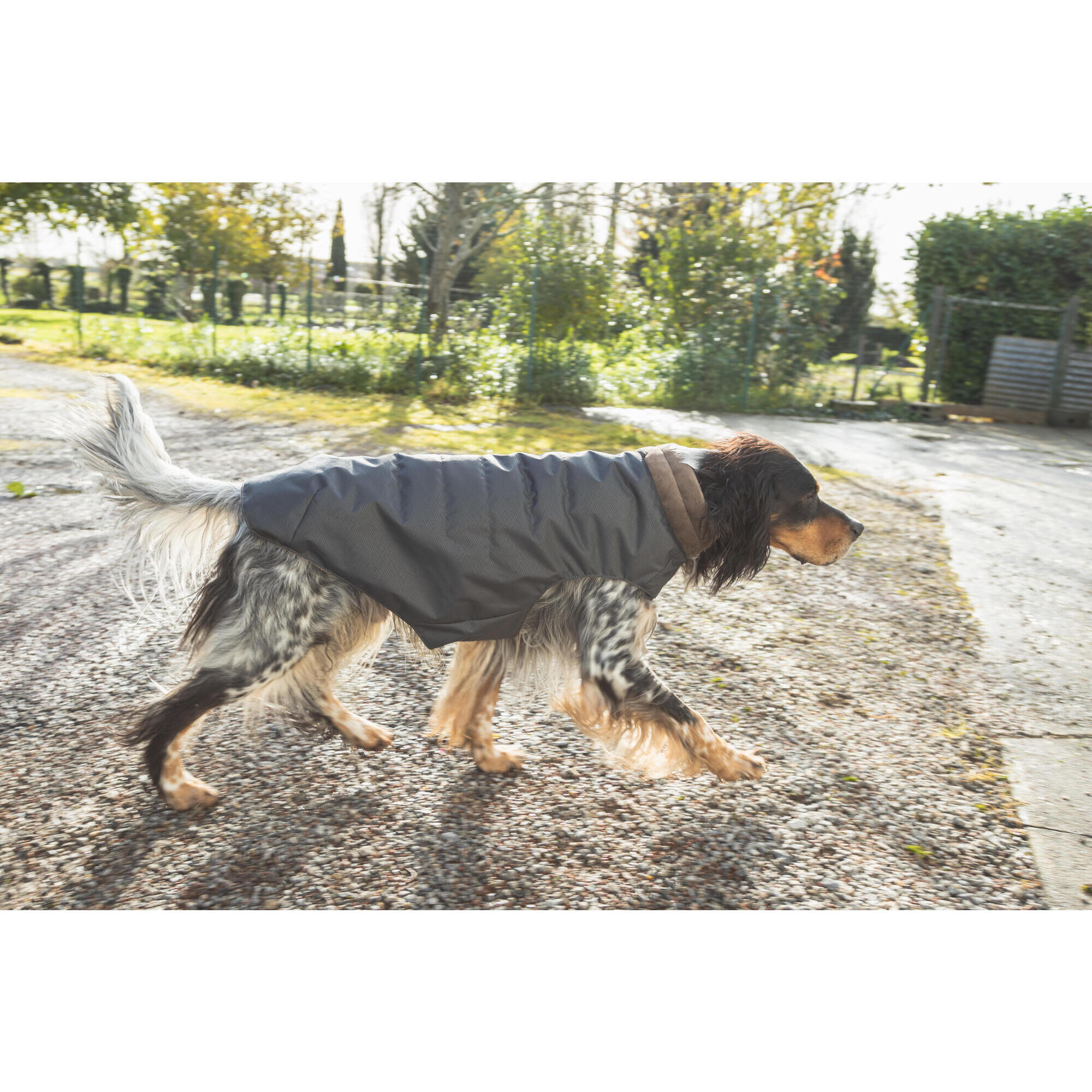 GILET CHAUD POUR CHIEN MARRON SOLOGNAC Decathlon