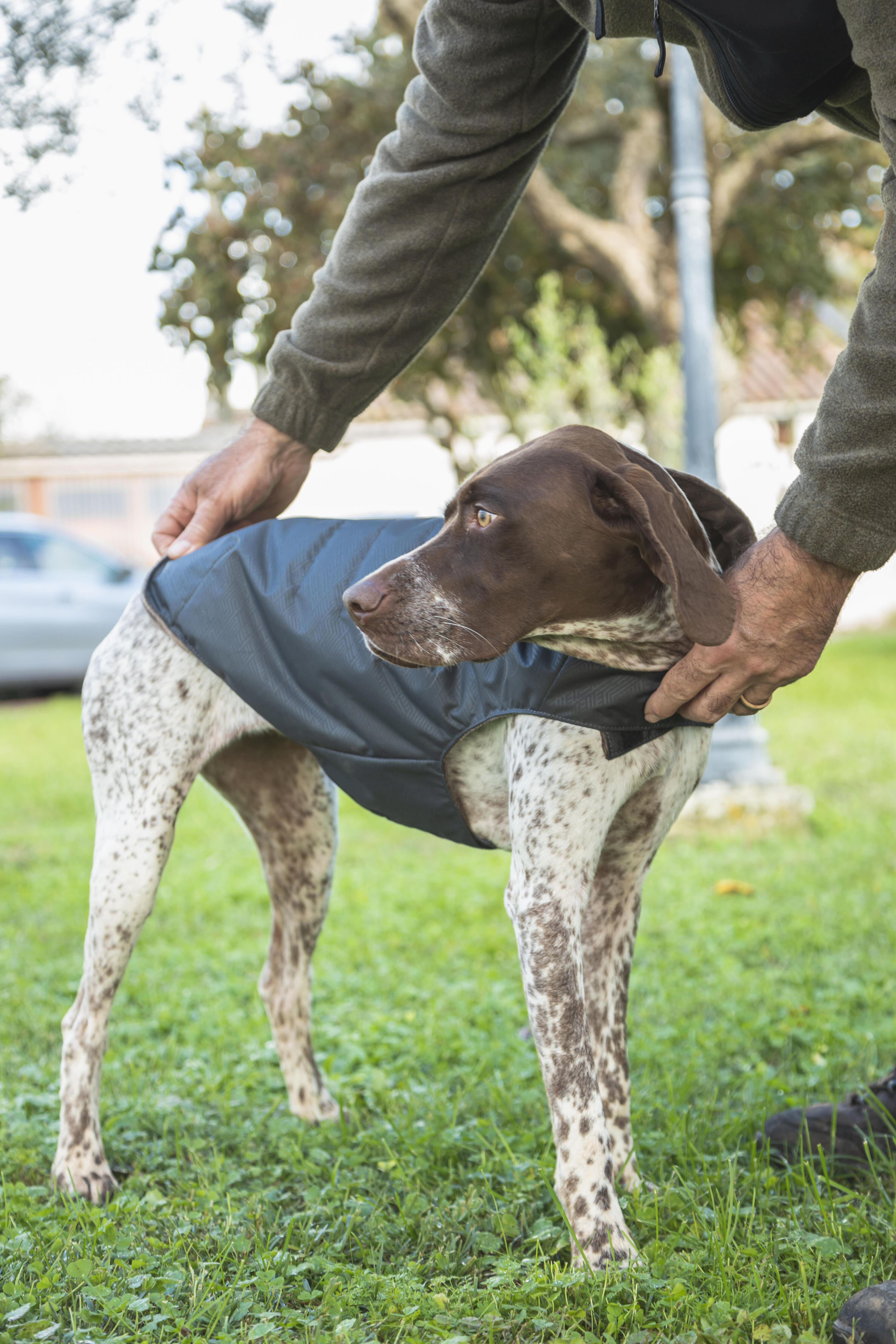 Hundeweste warm grau  10/12