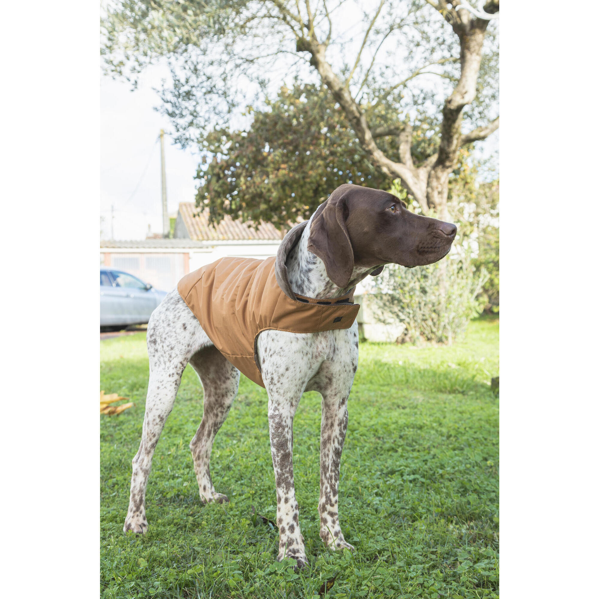 Pull Pour Chien En Polaire - Gilet Chaud Hiver - Taille S/M/L - Pour Petite, Moyenne Et Grande Race - Coupe-vent - 11