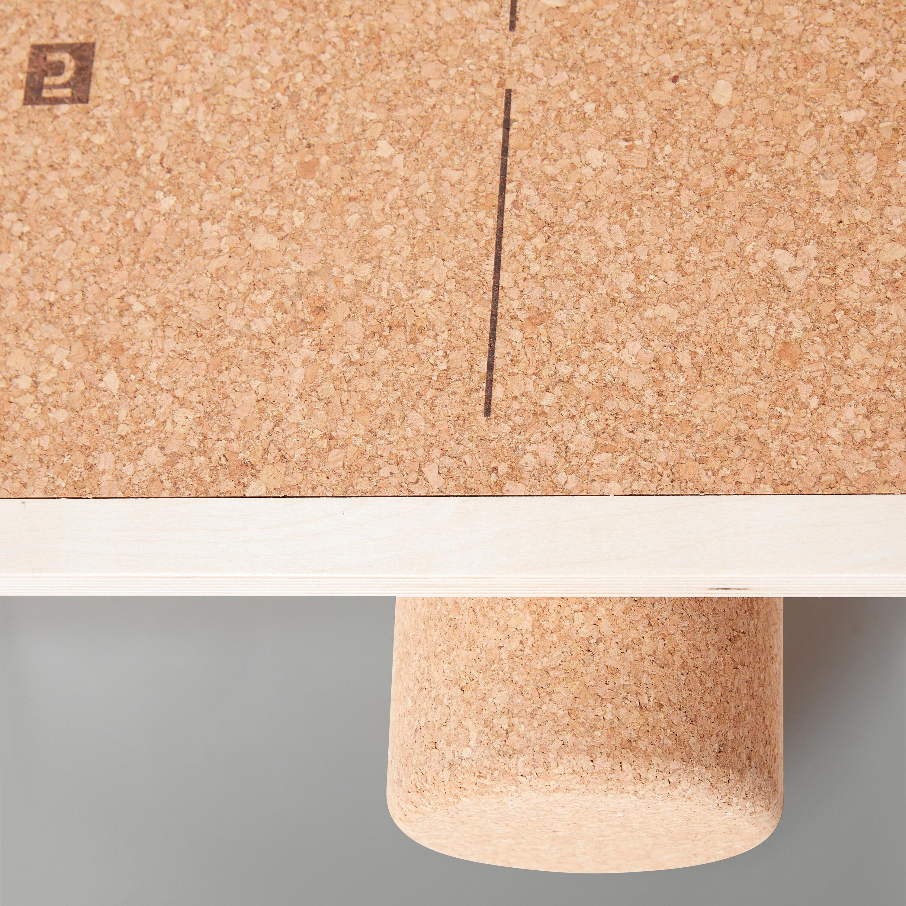 Fitness Balance Board 2/11
