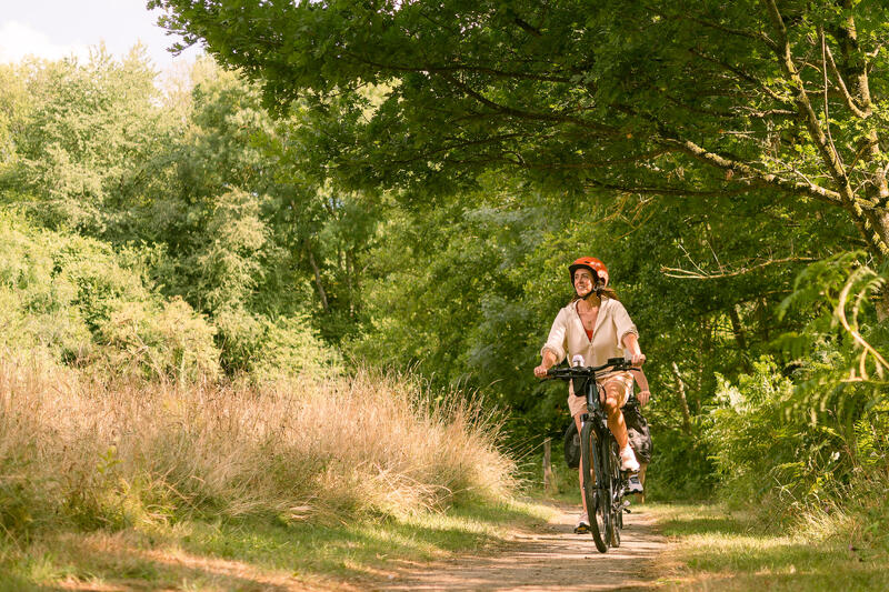 Electric Bike vs. Normal Bike: Pros & Cons