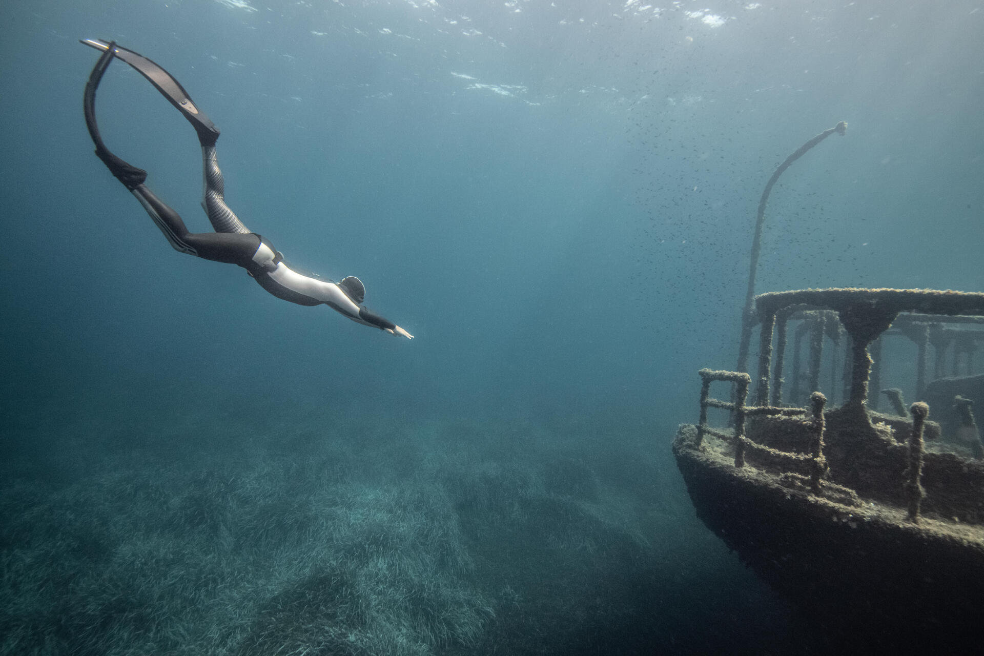 Mężczyzna nurkujący w stronę wraku w kombinezonie i płetwach do freedivingu