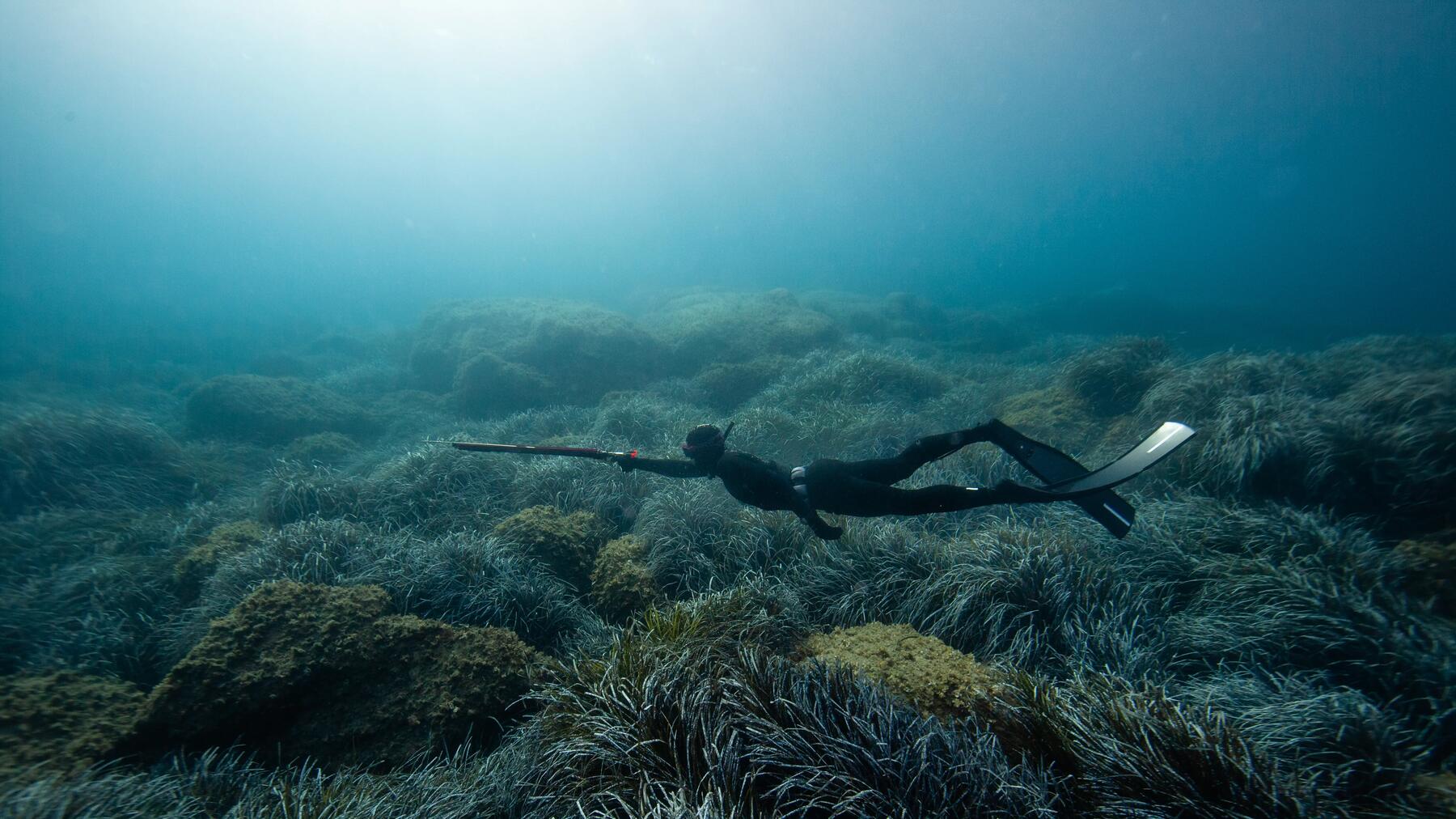 s'initier aux différentes techniques de chasse sous-marine avec Subea