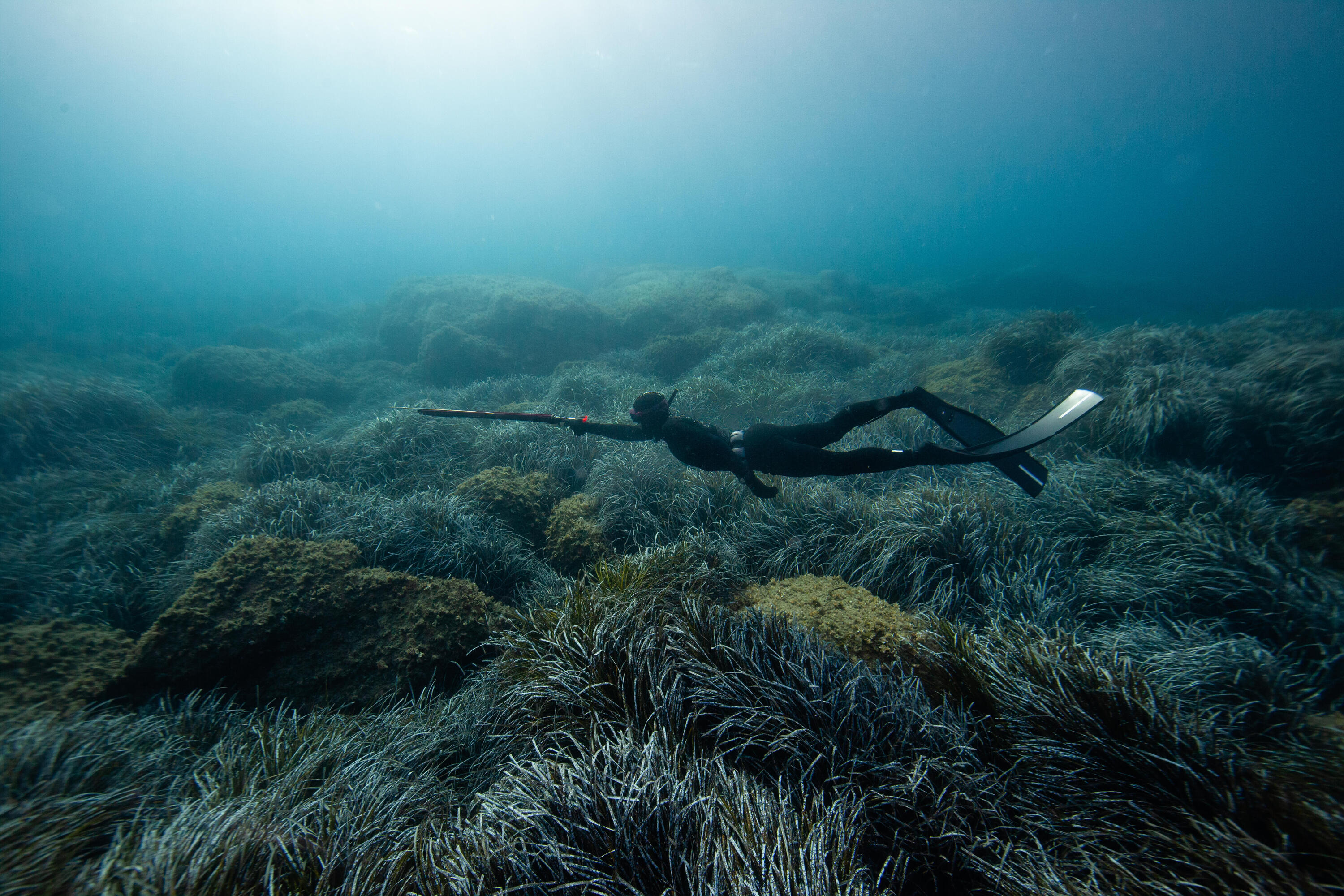 Pala pinna pesca in apnea 900 fibra e carbonio durezza media  6/7