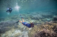 PERAJA SUBEA FF 100 REACT ZA SNORKELING ZA ODRASLE - CRNO/ZELENA