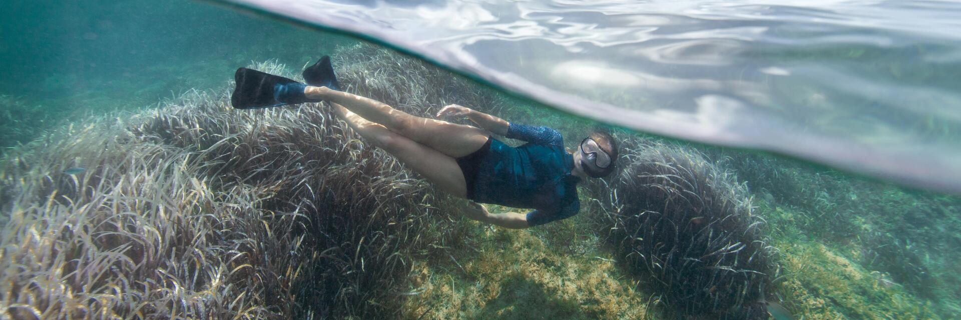 Comment choisir son masque de snorkeling ?